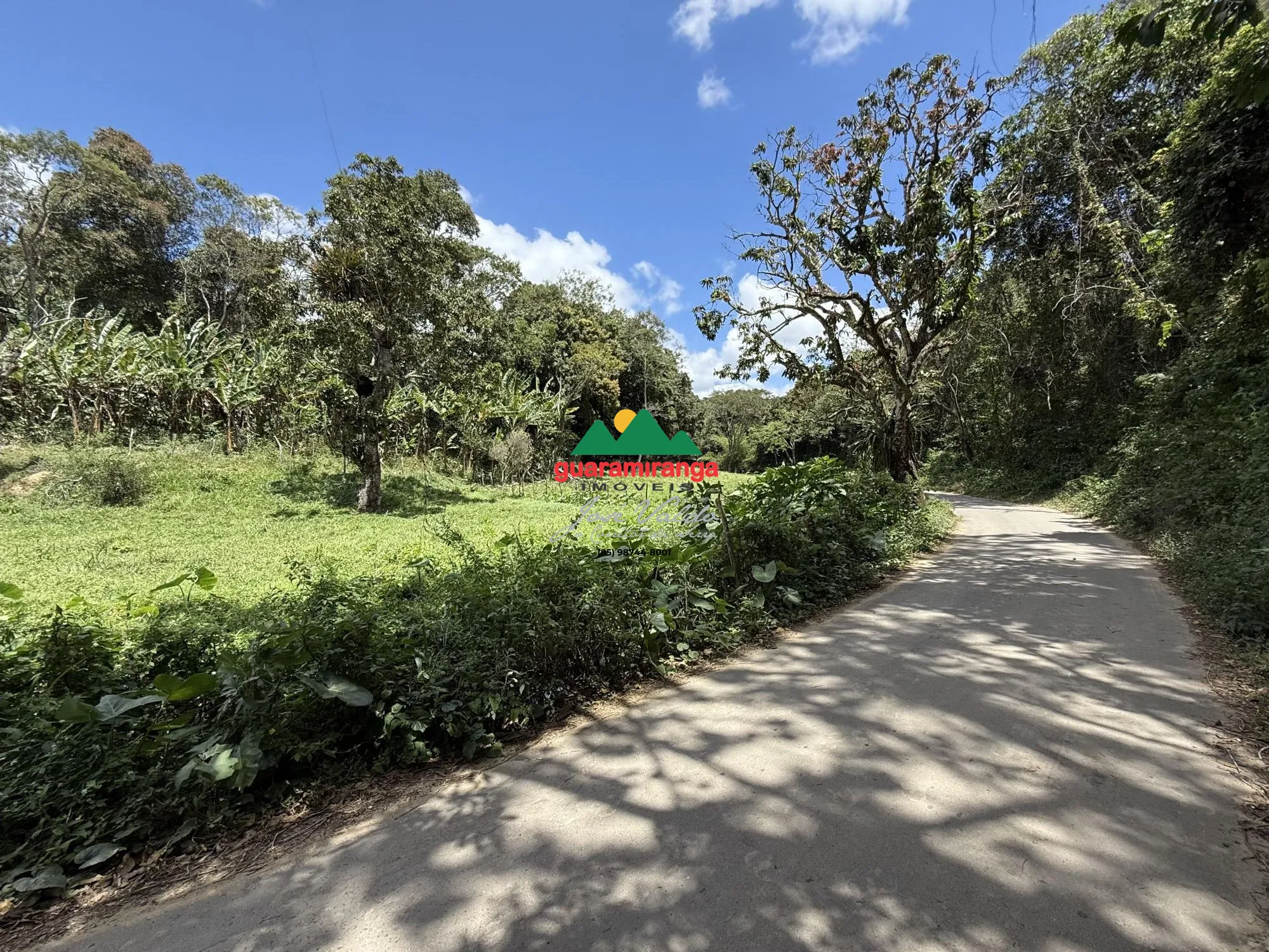 Fazenda/sítio/chácara/haras à venda  no Zona Rural - Mulungu, CE. Imóveis