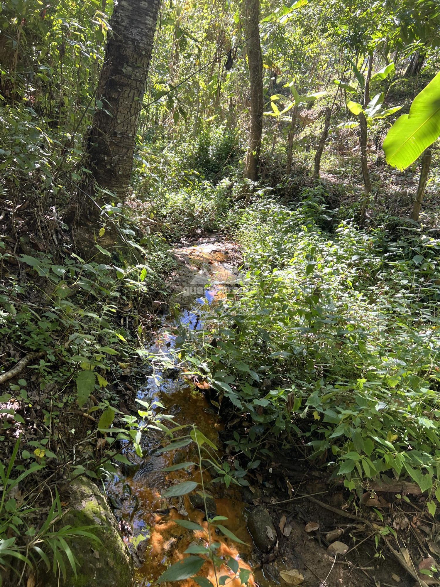 Terreno, 36 m² - Foto 31