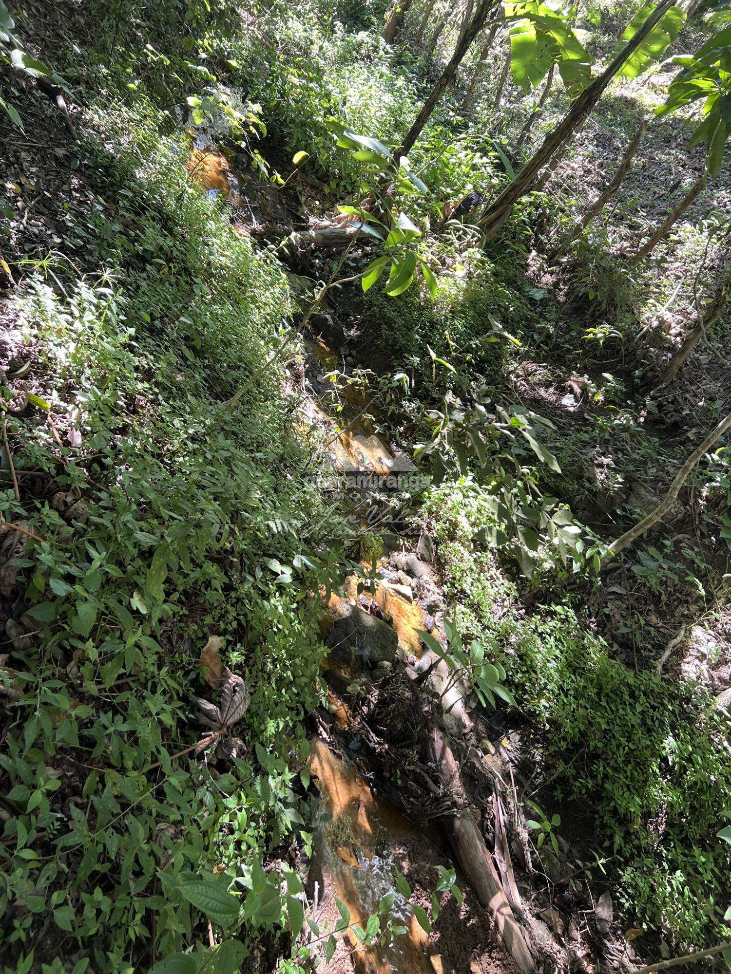 Terreno, 36 m² - Foto 33