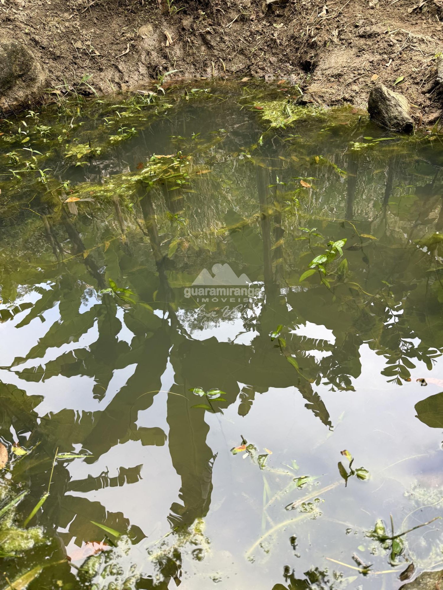 Terreno, 36 m² - Foto 35