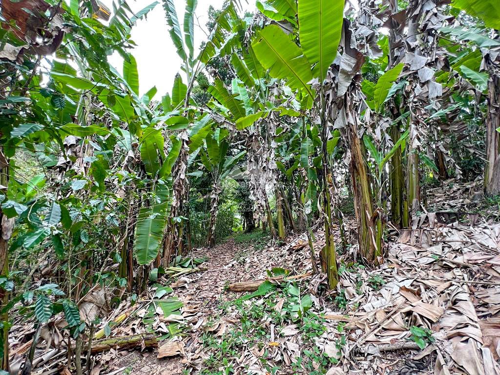 Sítio, 1 quarto, 52 hectares - Foto 19