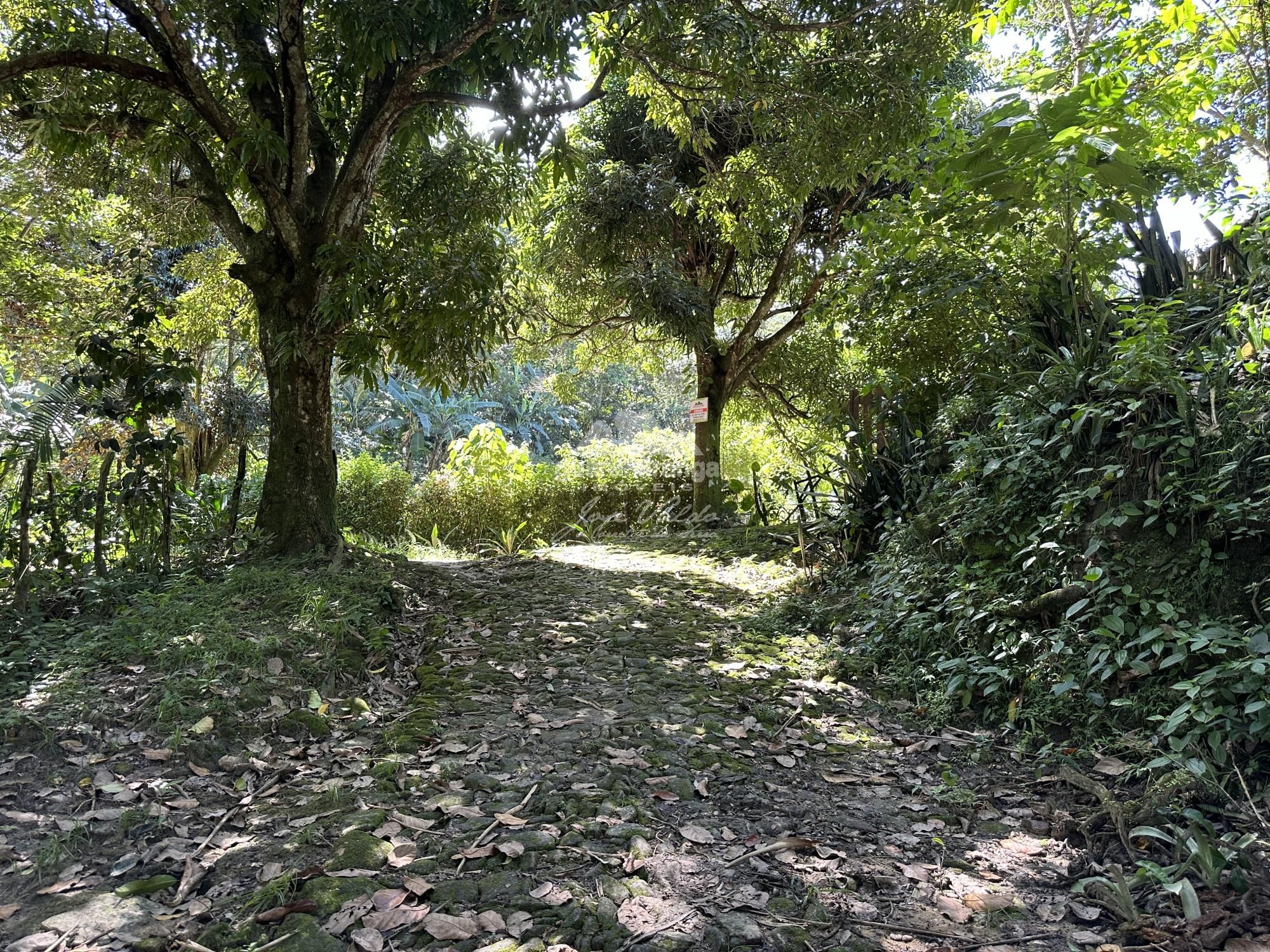 Sítio, 4 quartos, 22 hectares - Foto 54