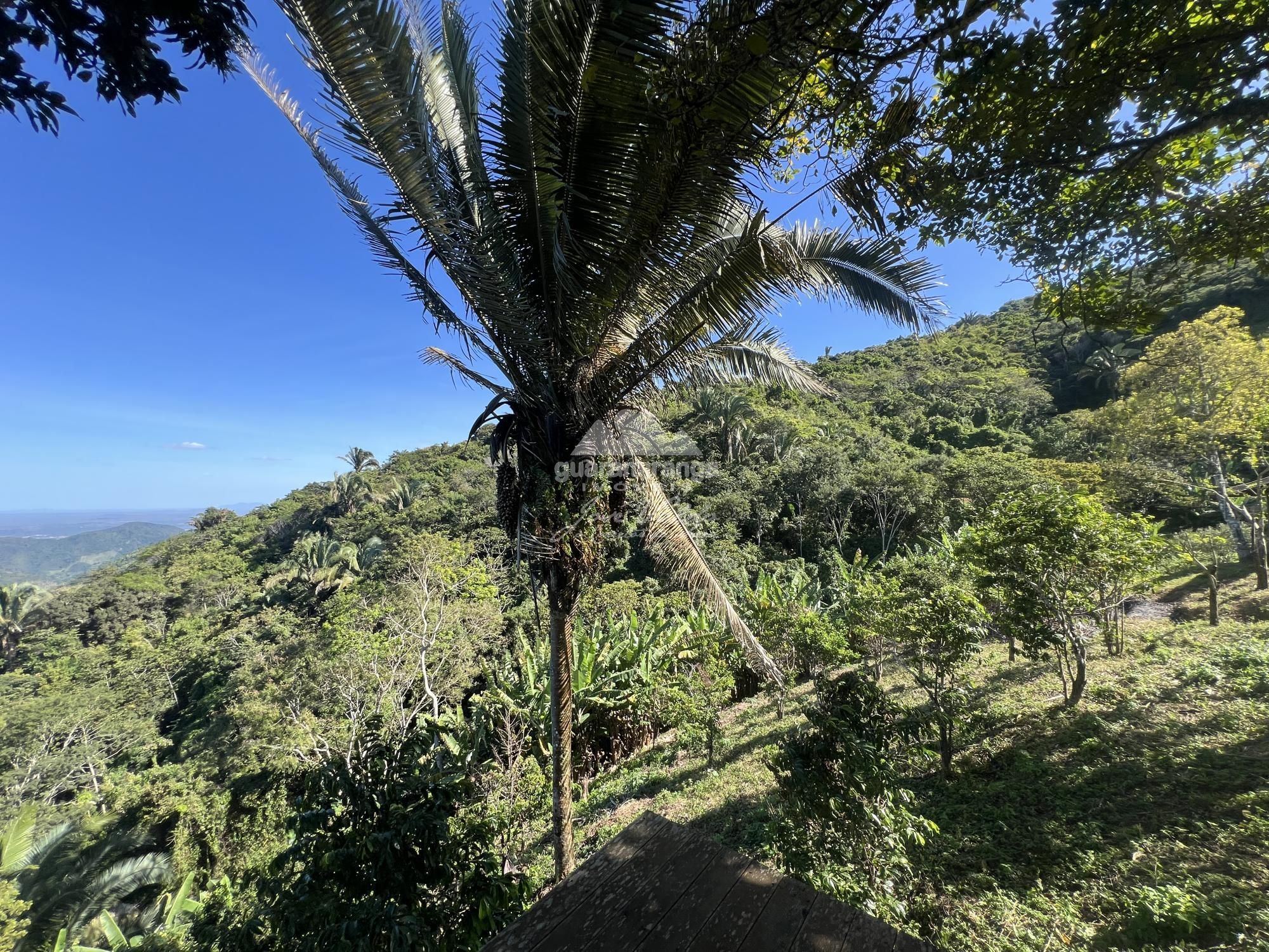 Sítio, 4 quartos, 4 hectares - Foto 47