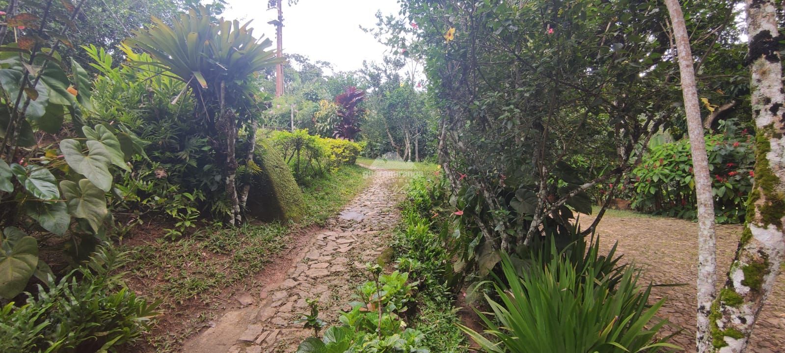 Sítio, 12 quartos, 60 hectares - Foto 15