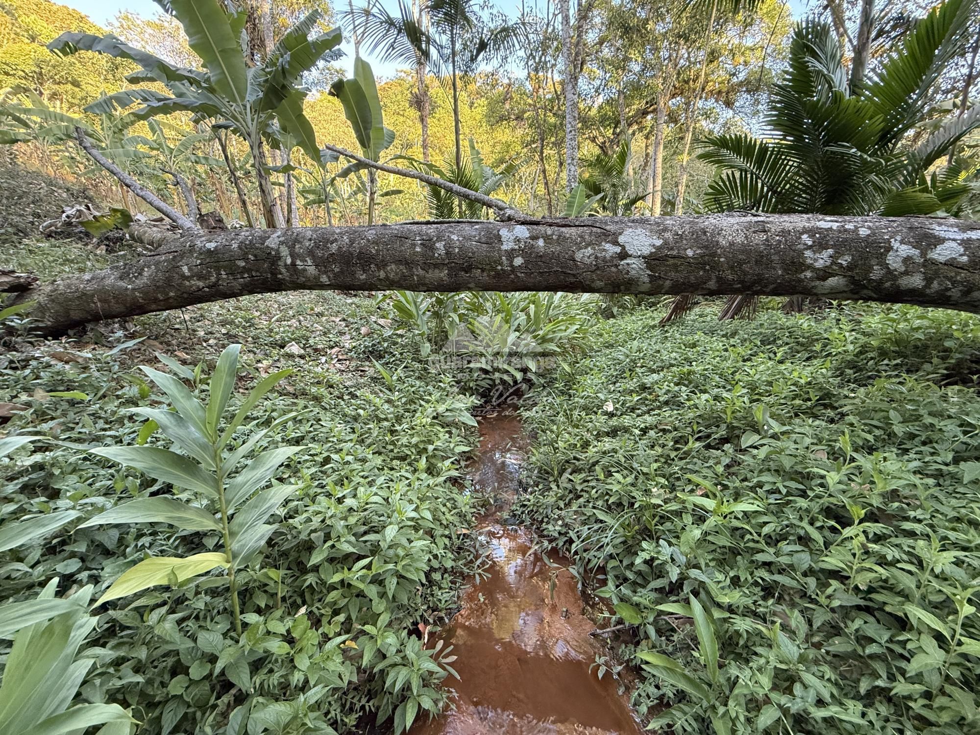 Chácara, 8 quartos, 2 hectares - Foto 38