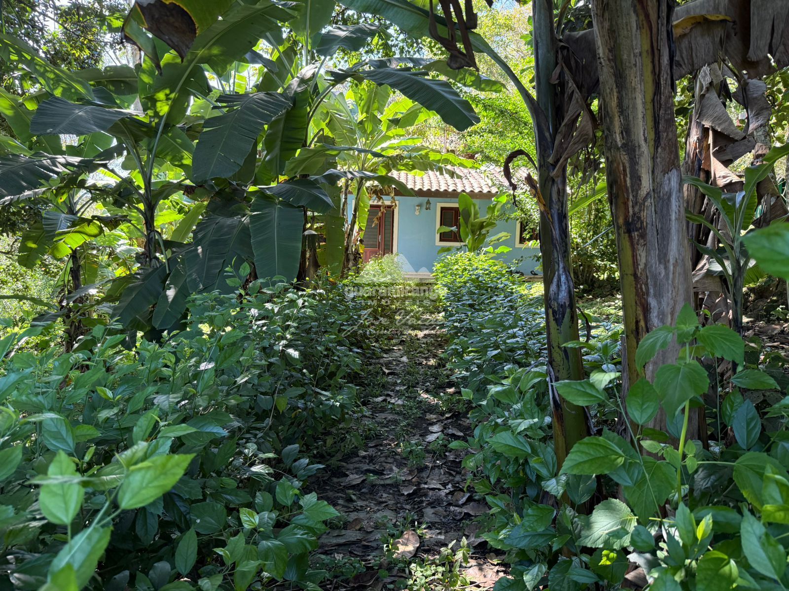 Chácara, 4 quartos, 6332 m² - Foto 49