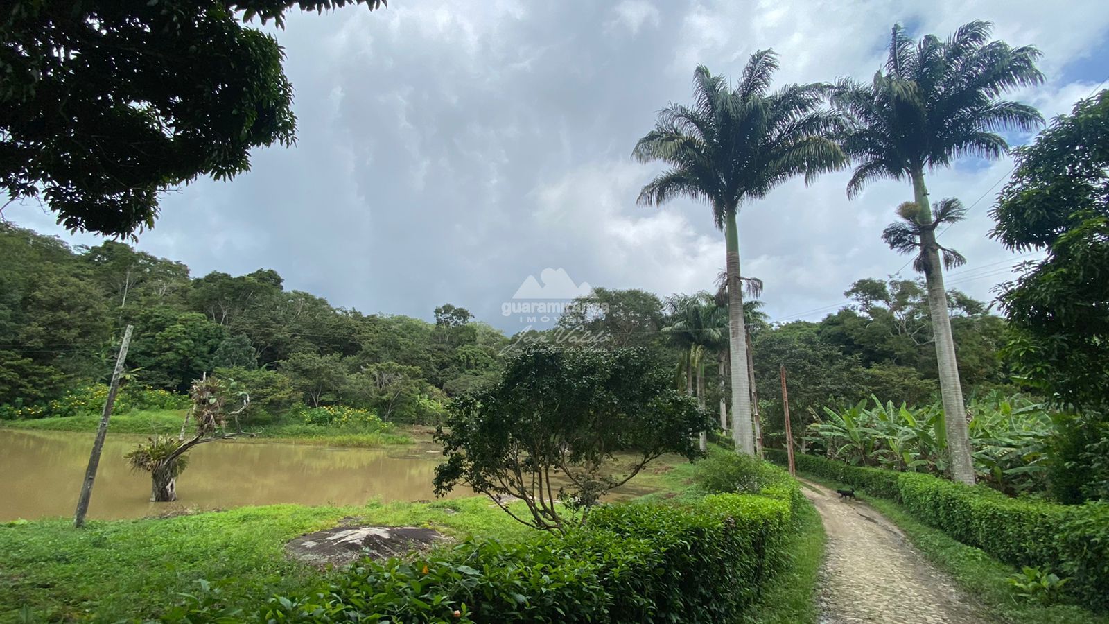 Sítio, 12 quartos, 60 hectares - Foto 29