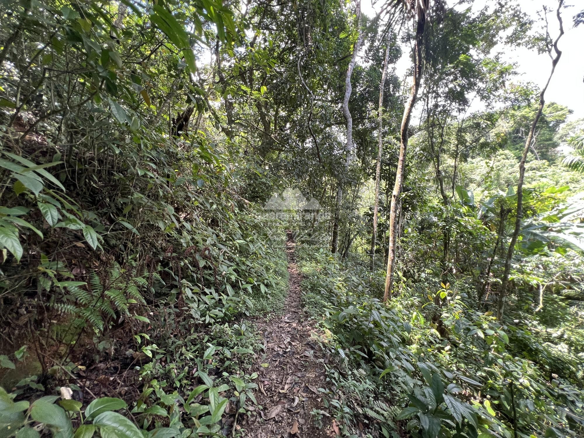 Sítio, 2 quartos, 26 hectares - Foto 26