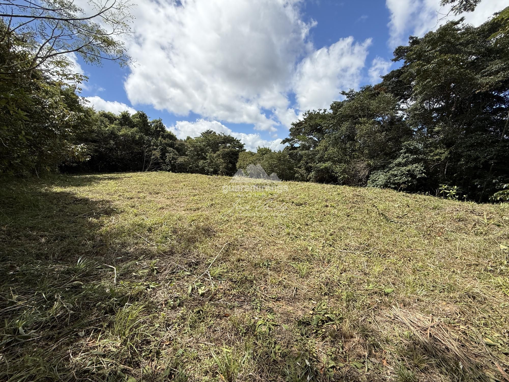 Terreno, 2 hectares - Foto 15