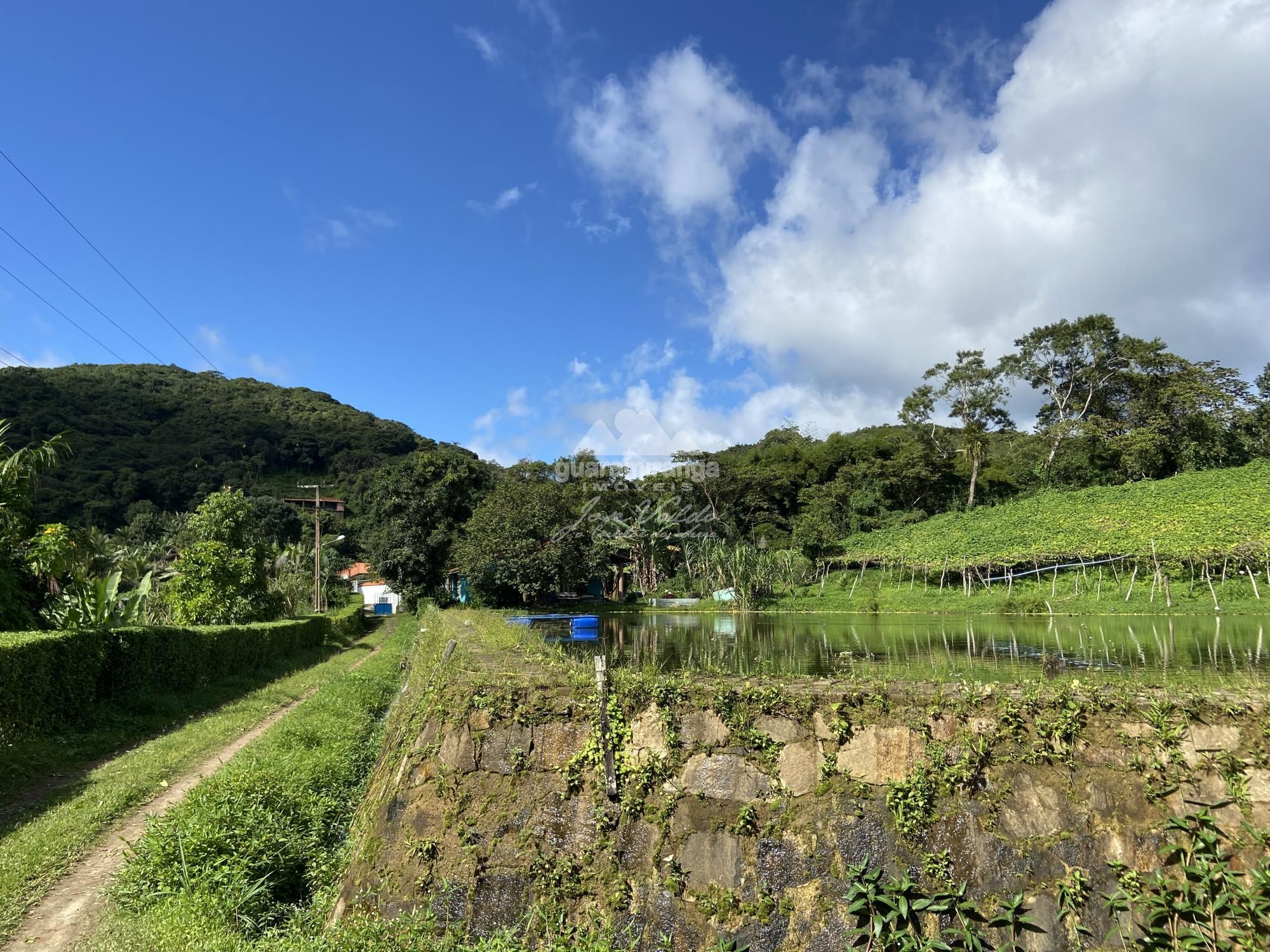 Sítio, 7 quartos, 31 hectares - Foto 55