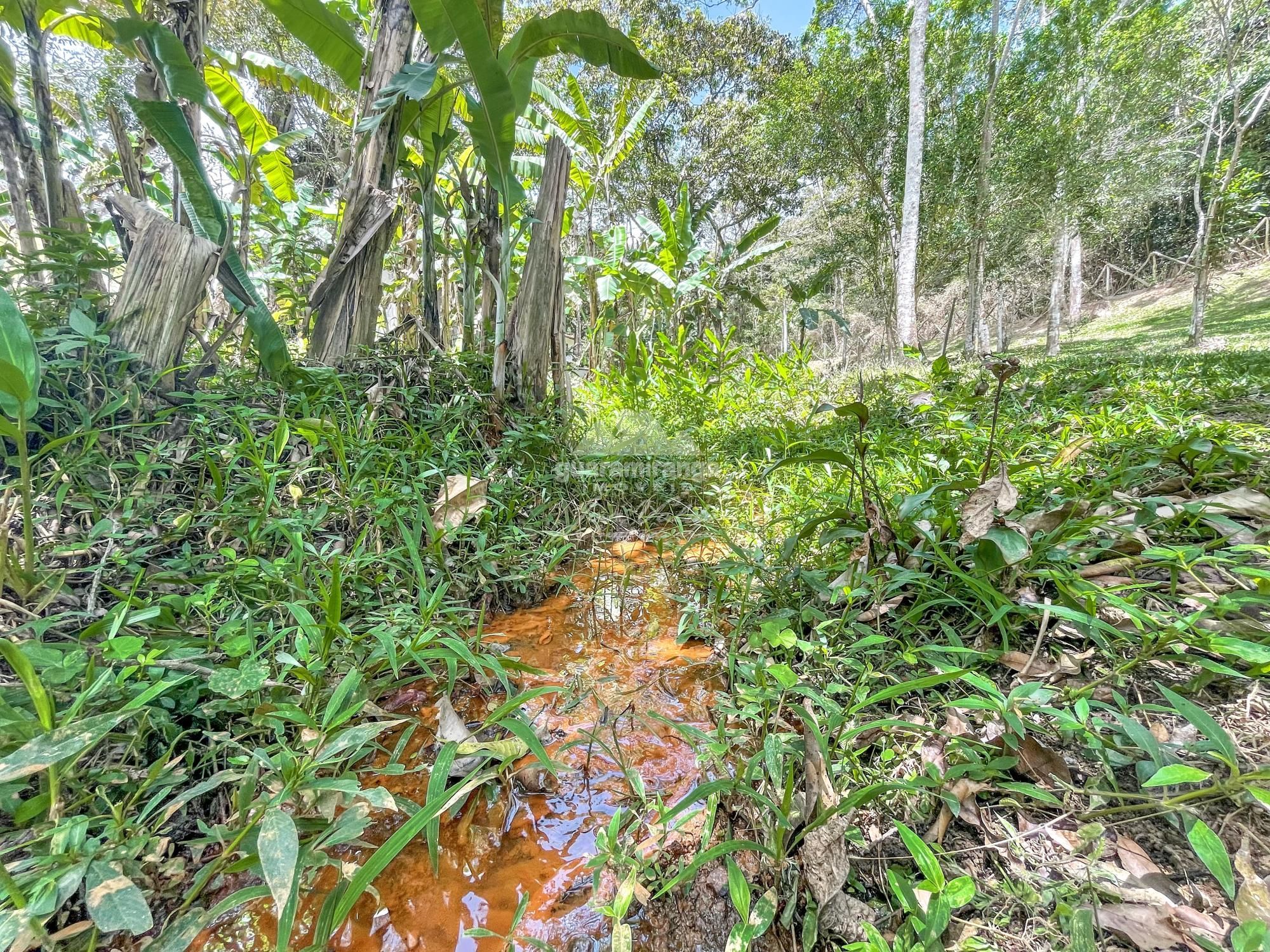 Sítio à venda com 1 quarto, 35000m² - Foto 28