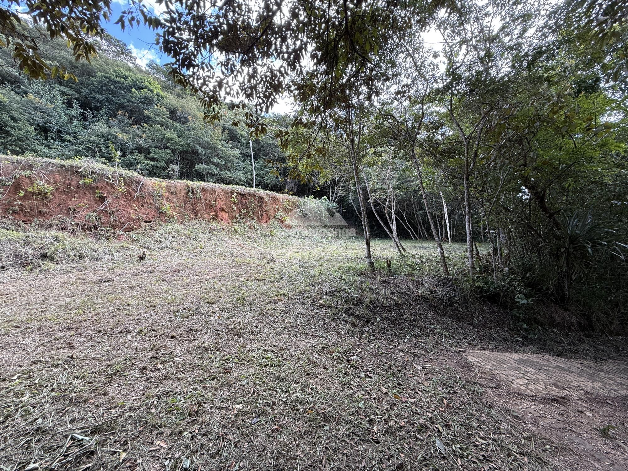 Terreno, 2 hectares - Foto 12