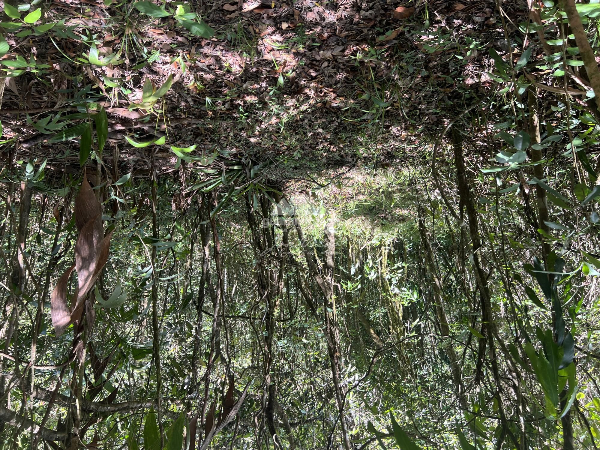 Terreno, 9270 m² - Foto 14