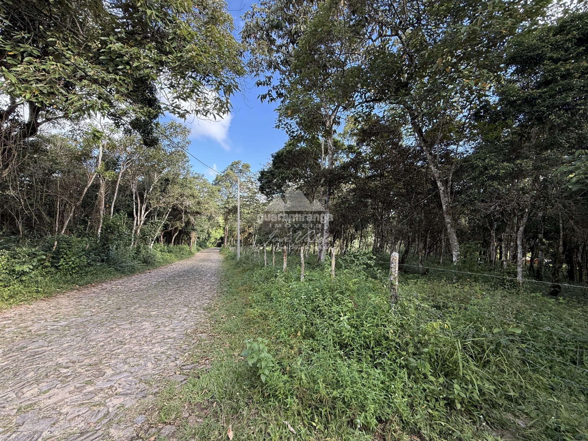 Fazenda/sítio/chácara/haras à venda  no Lagoa - Guaramiranga, CE. Imóveis