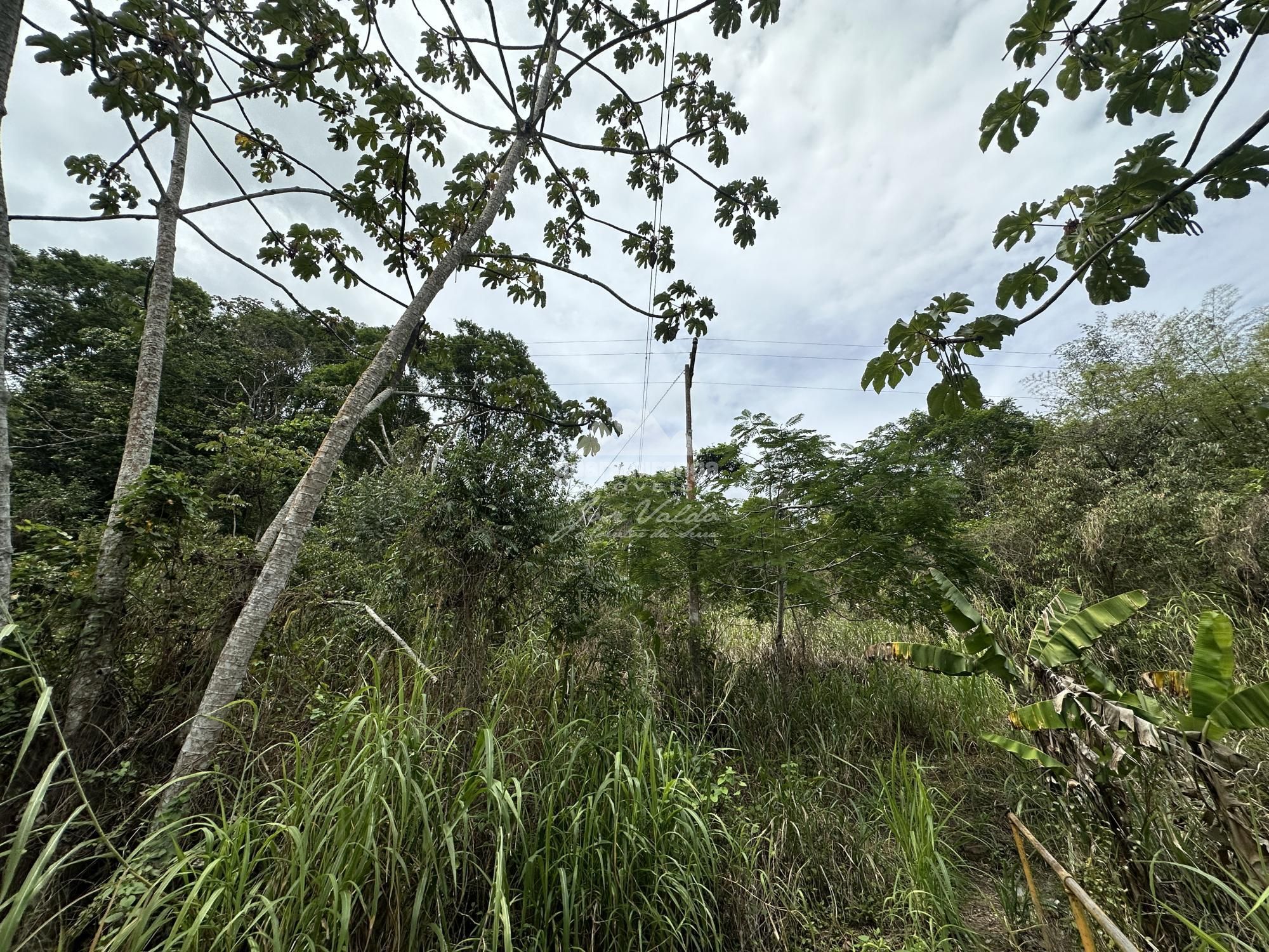 Sítio, 5 quartos, 11 hectares - Foto 30