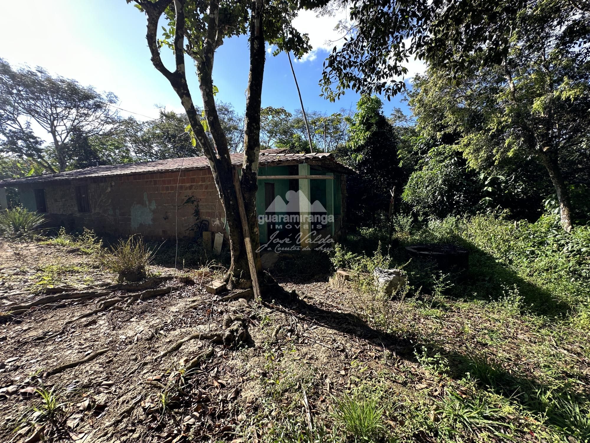 Sítio, 3 quartos, 3 hectares - Foto 30