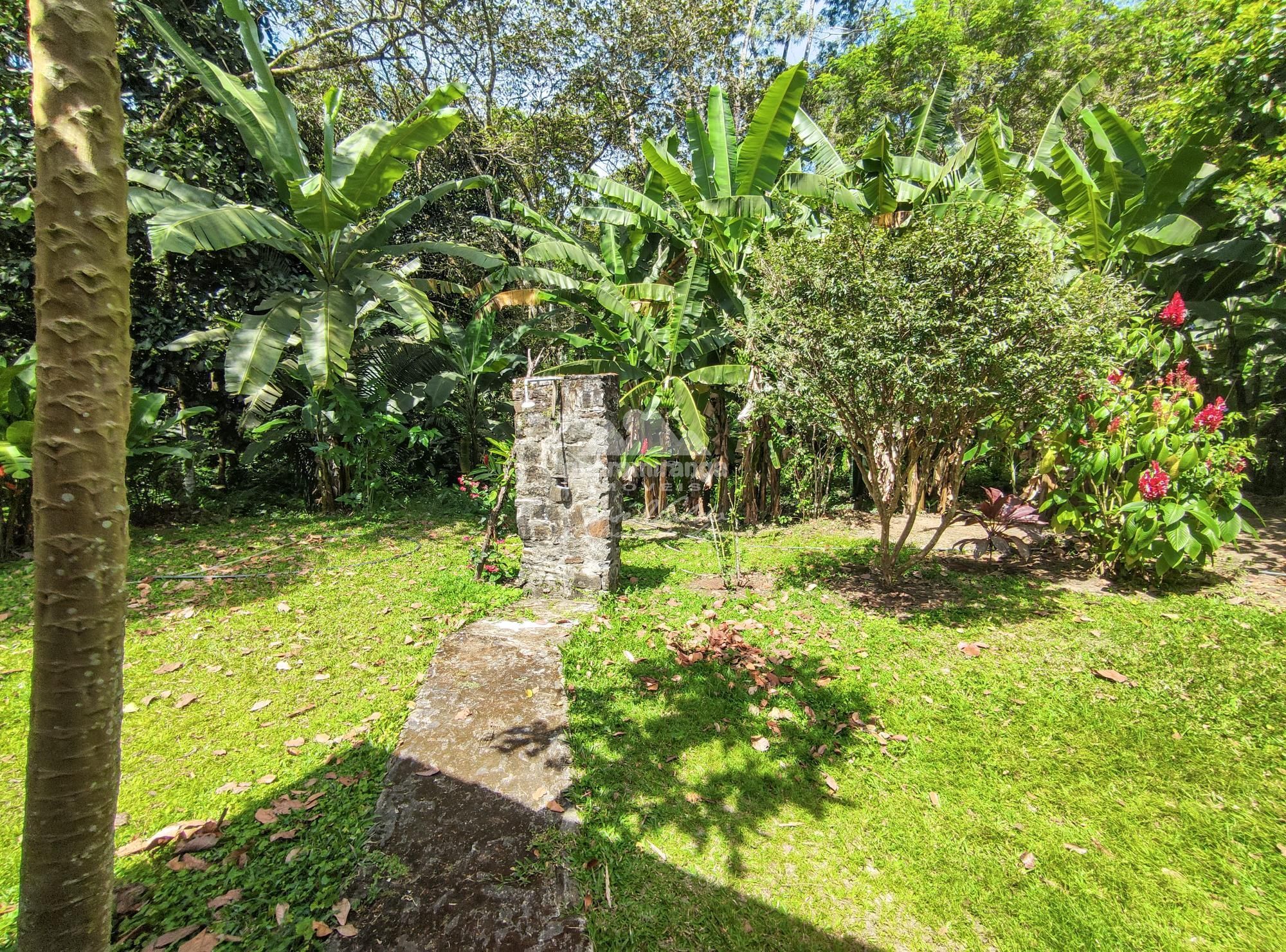 Sítio, 4 quartos, 13 hectares - Foto 19