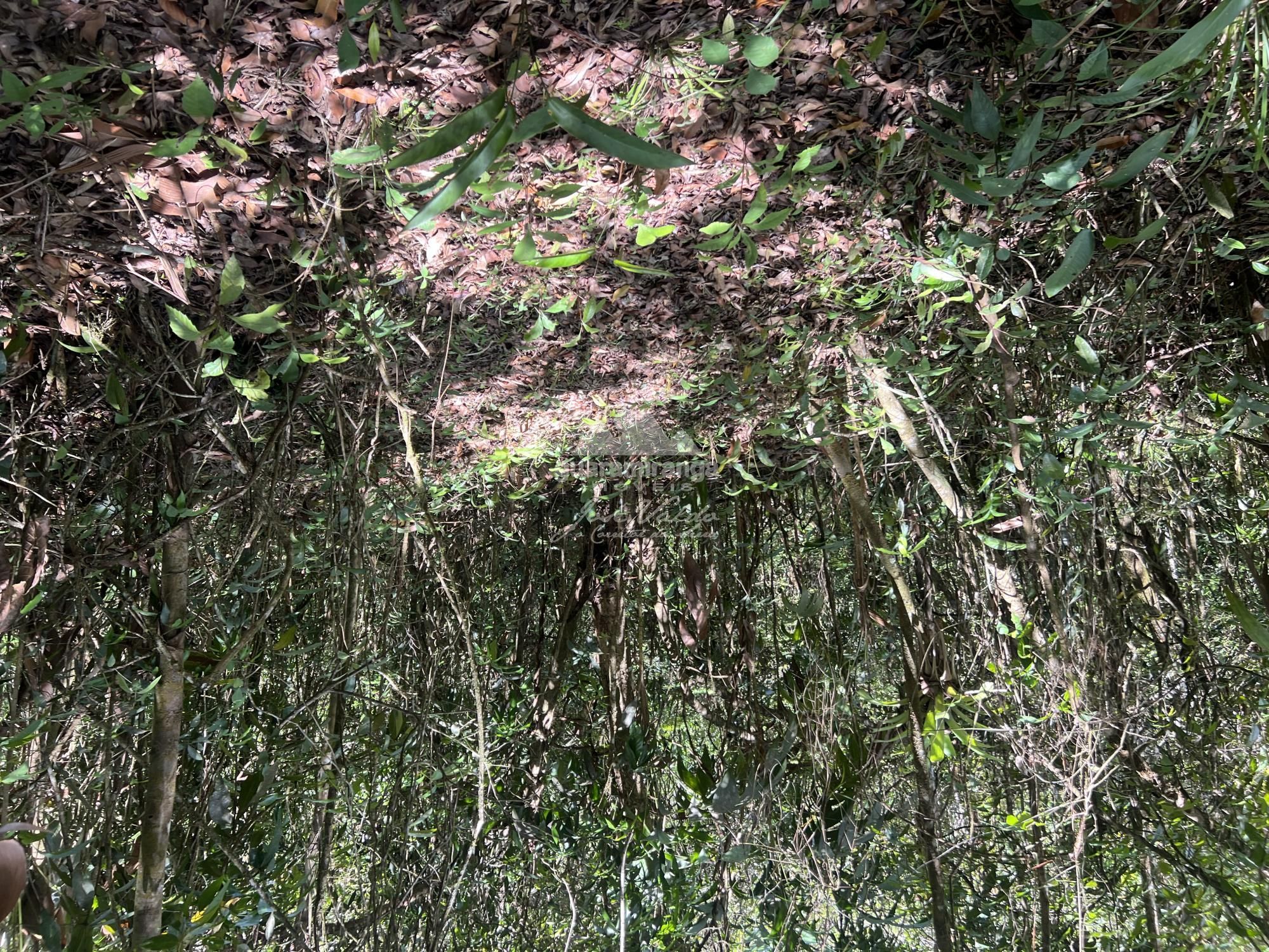 Terreno/Lote à venda, 9.271 m² por R$ 350.000,00 Terreno/Lote à venda, 9.271 m² por R$ 350.000,00