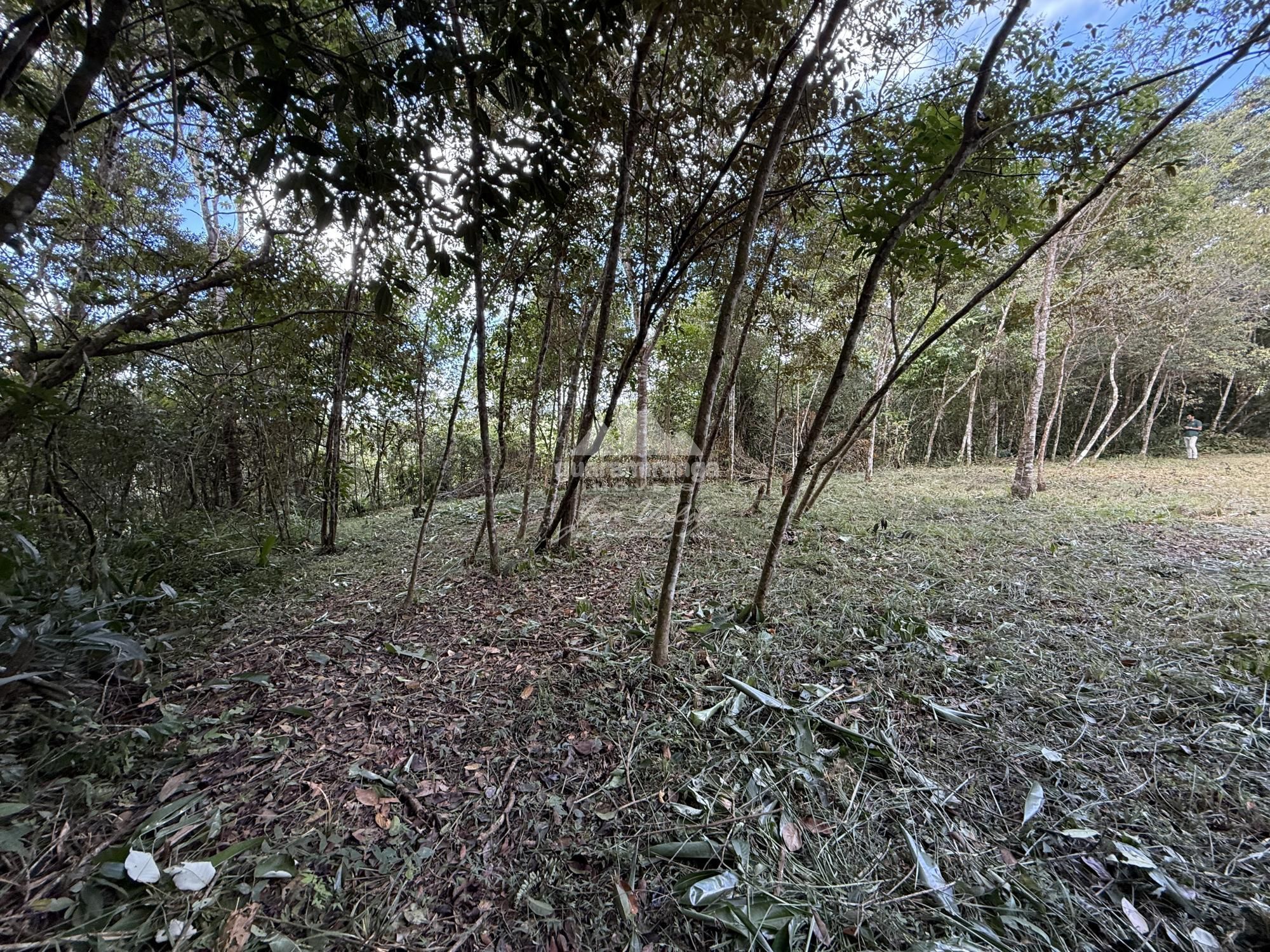 Terreno, 2 hectares - Foto 11