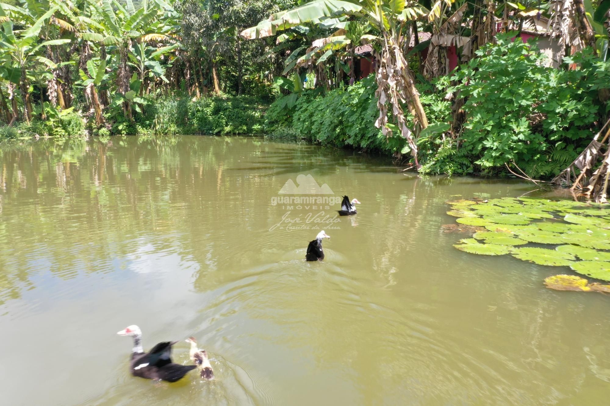 Sítio, 7 quartos, 31 hectares - Foto 11