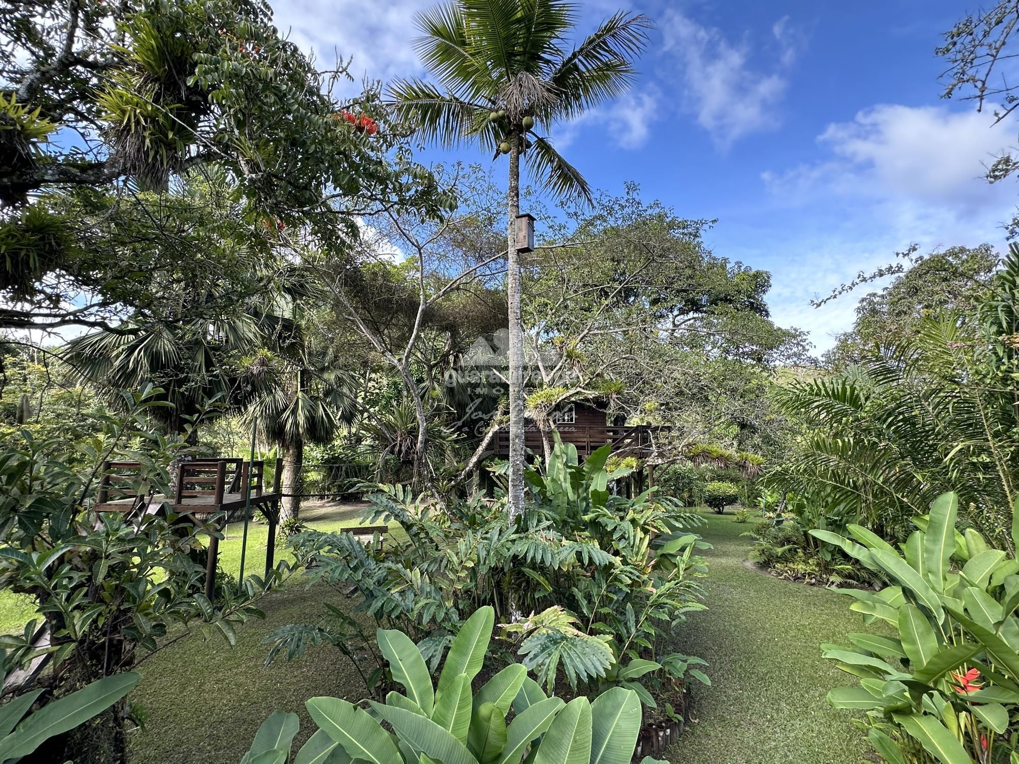 Casa, 7 quartos, 797 m² - Foto 79