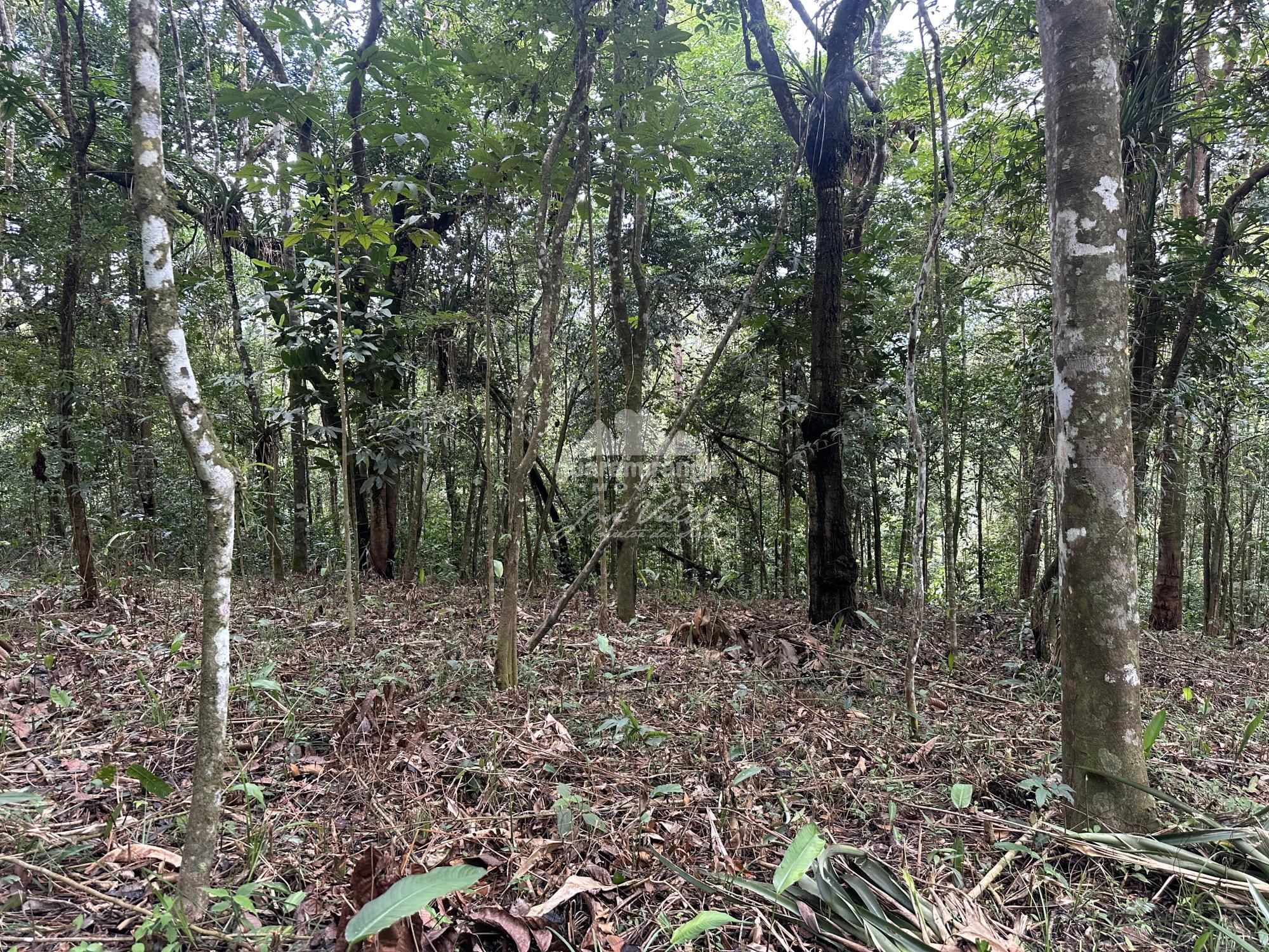 Terreno, 7595 m² - Foto 21