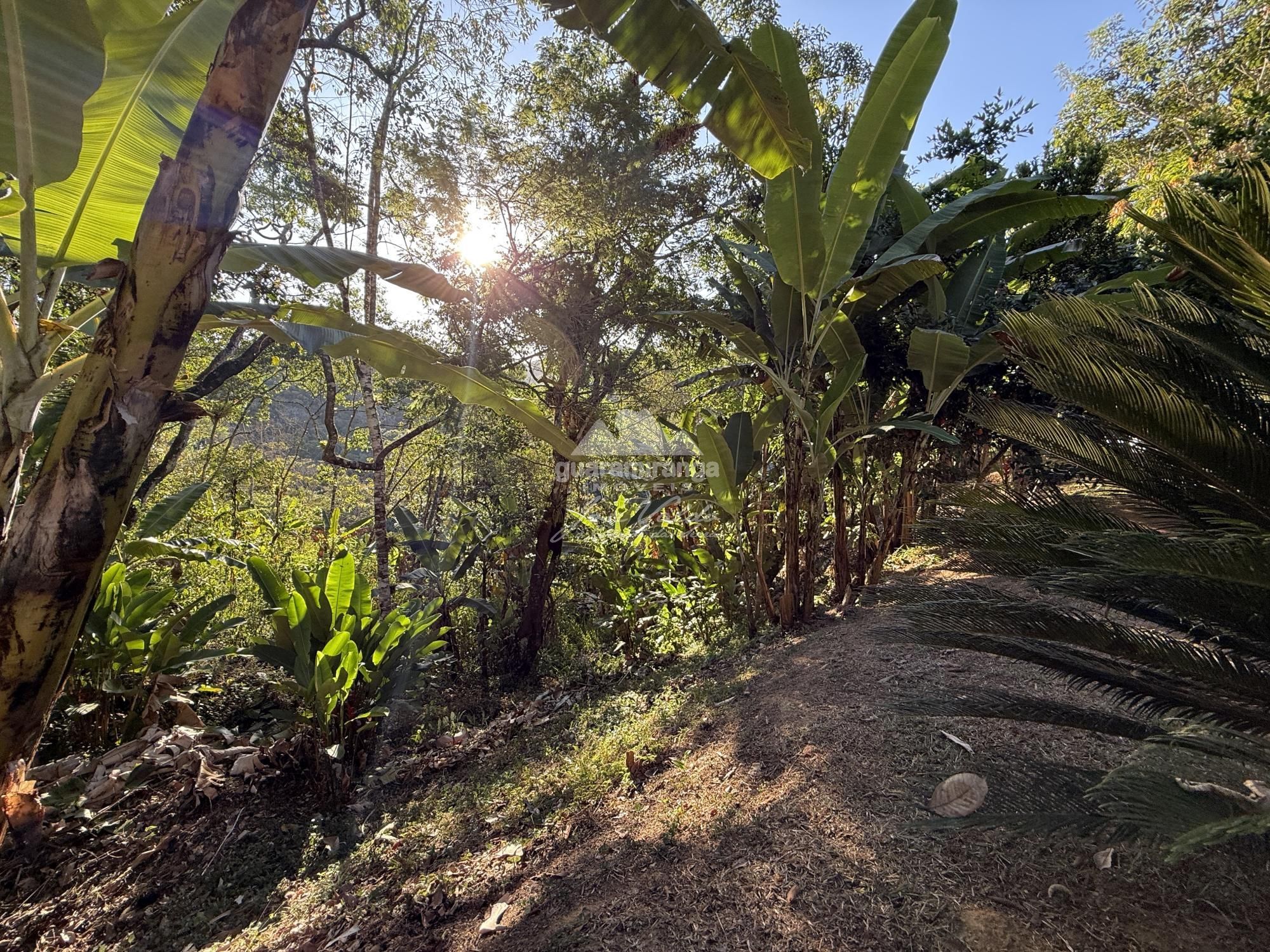 Chácara, 8 quartos, 2 hectares - Foto 27