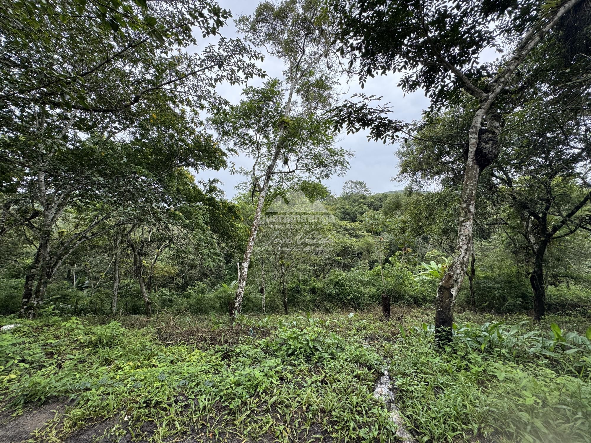 Terreno, 7675 m² - Foto 19