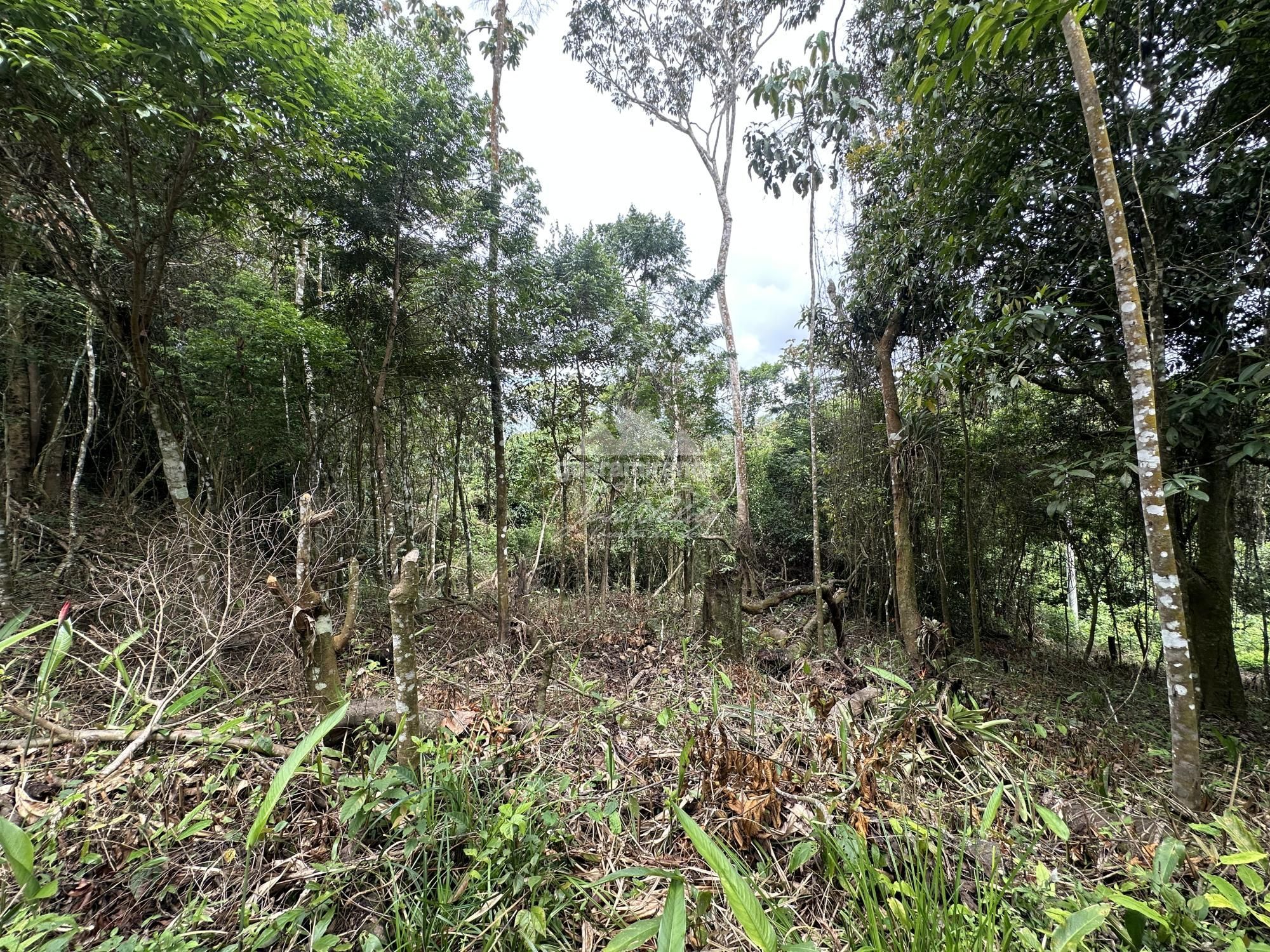 Terreno, 7595 m² - Foto 21