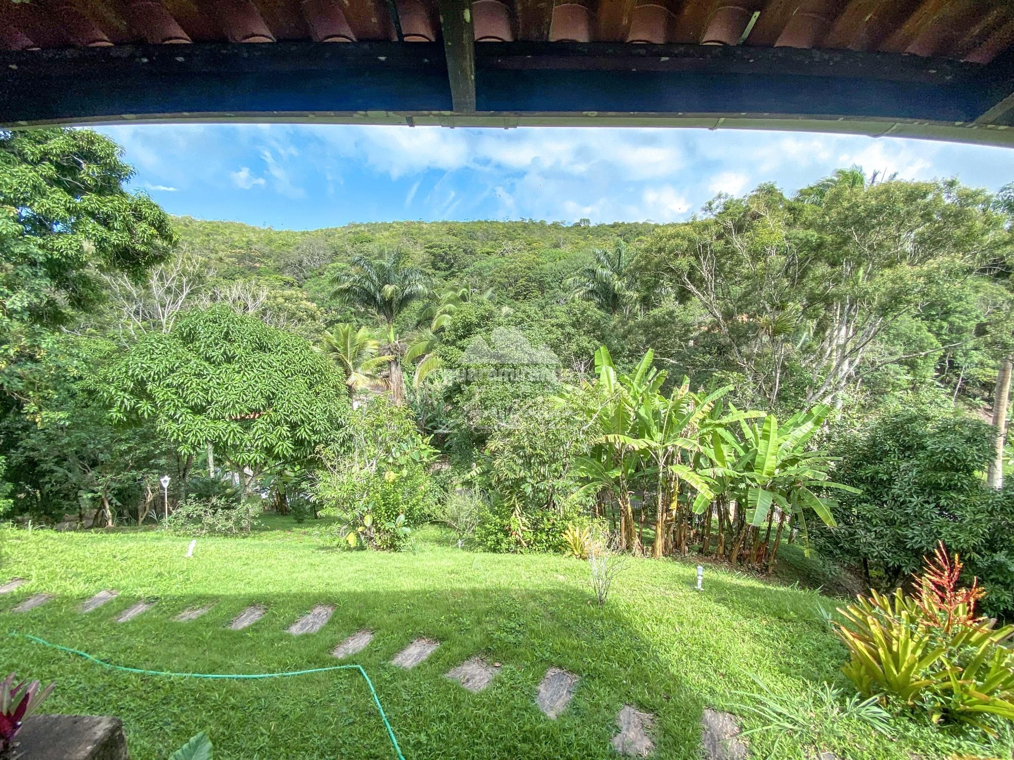 Sítio à venda com 4 quartos, 42000m² - Foto 38