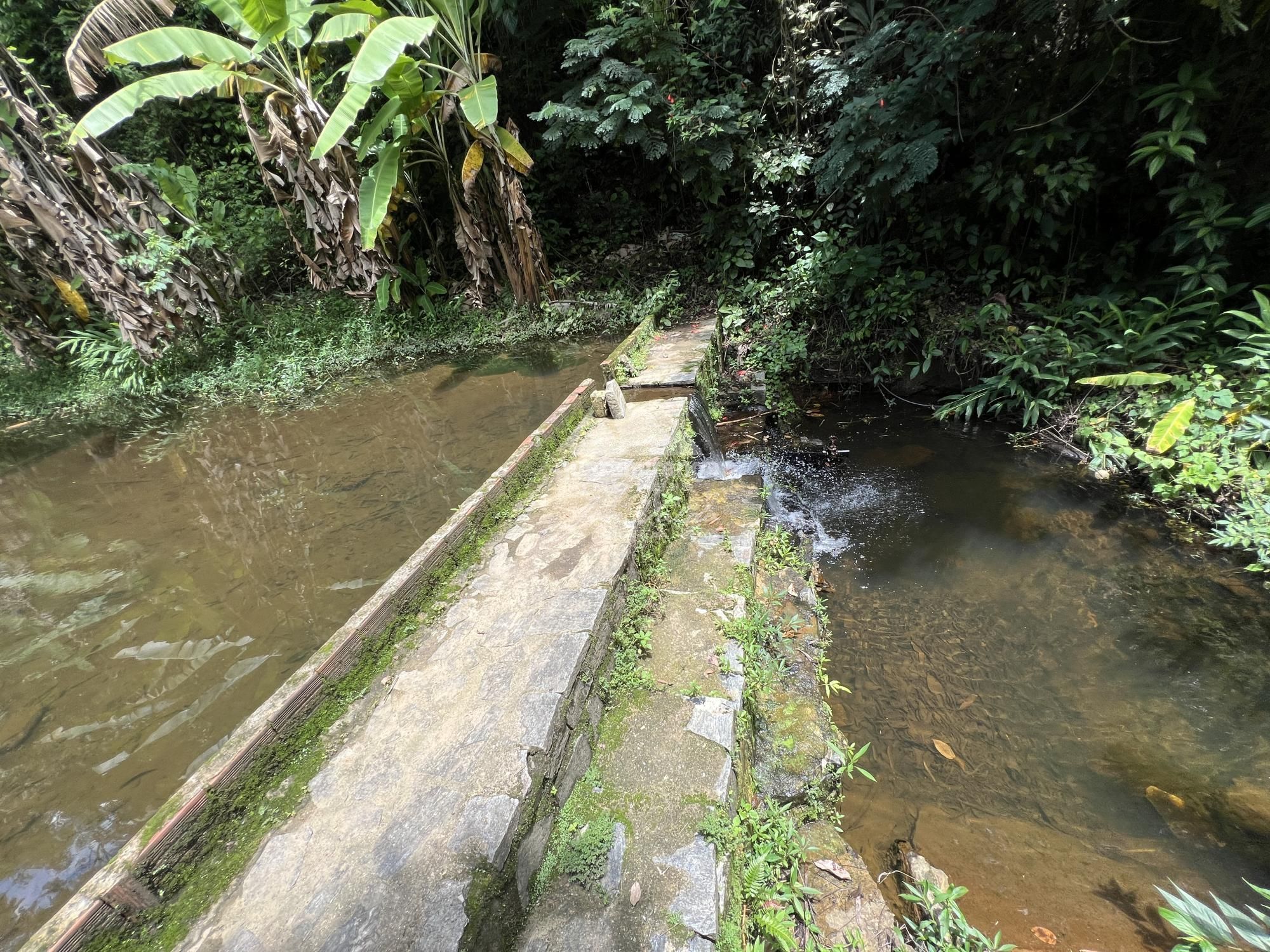 Sítio, 2 quartos, 26 hectares - Foto 22