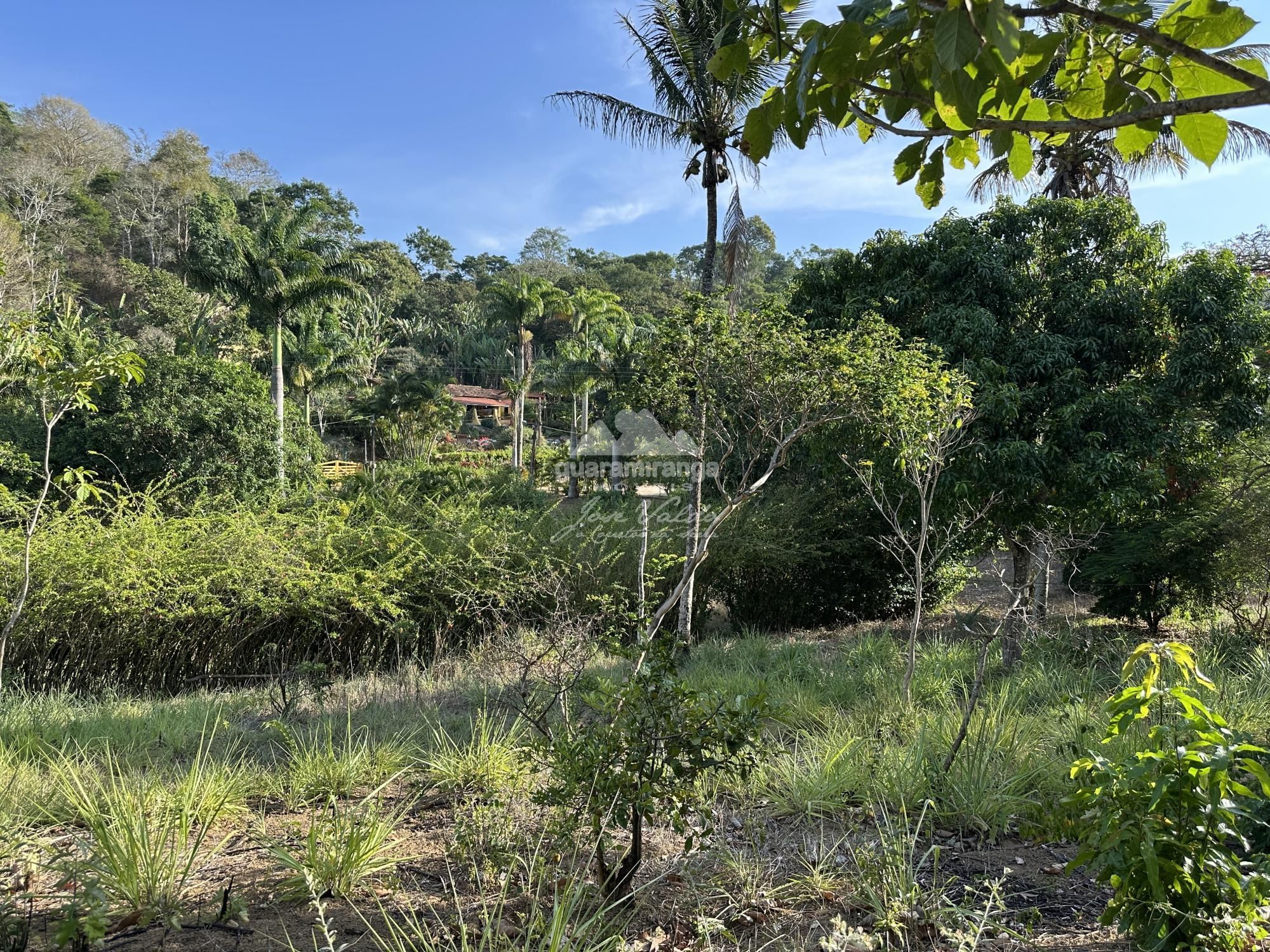 Sítio à venda com 4 quartos, 30557m² - Foto 60