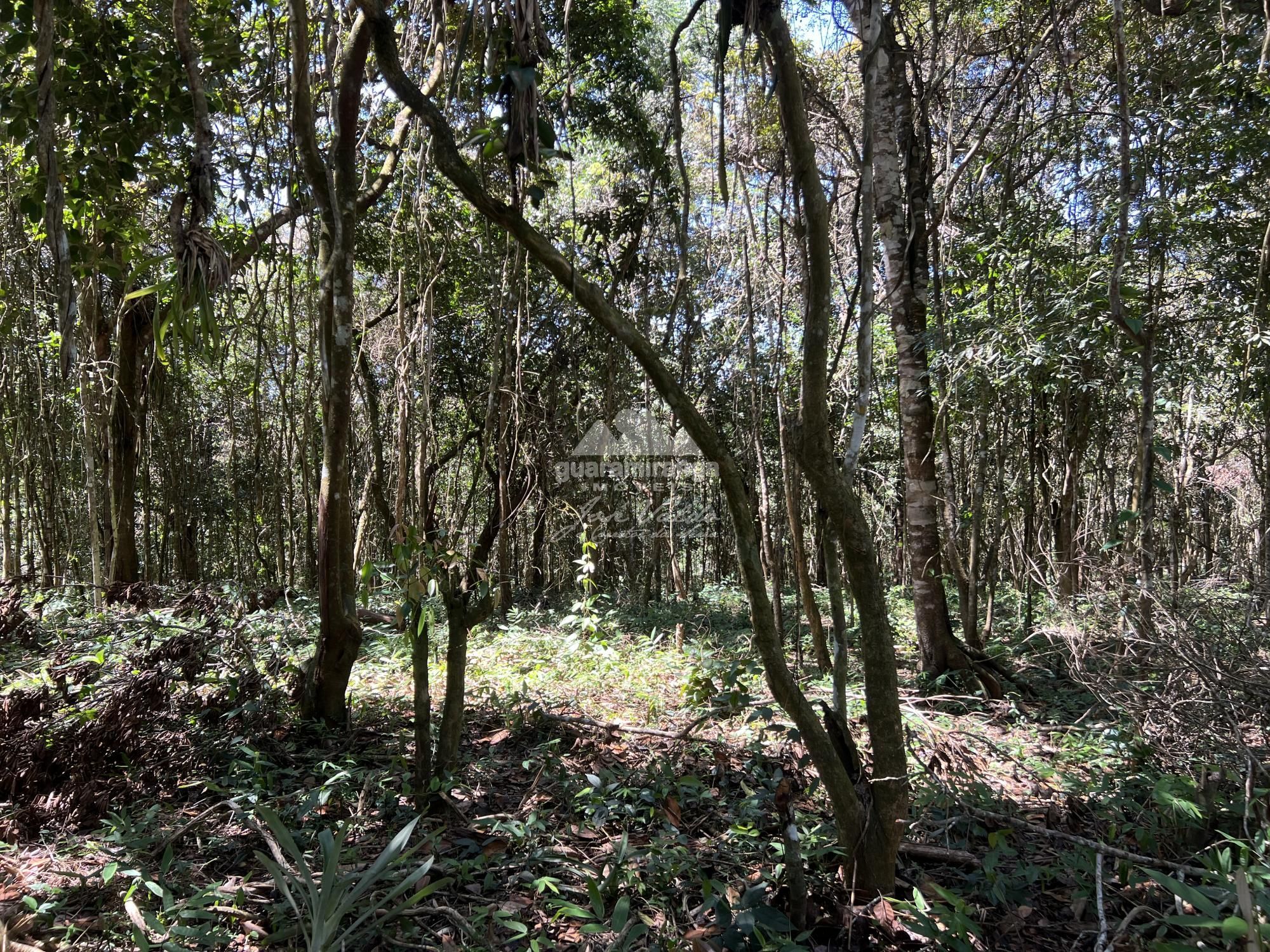 Terreno à venda, 1200m² - Foto 9