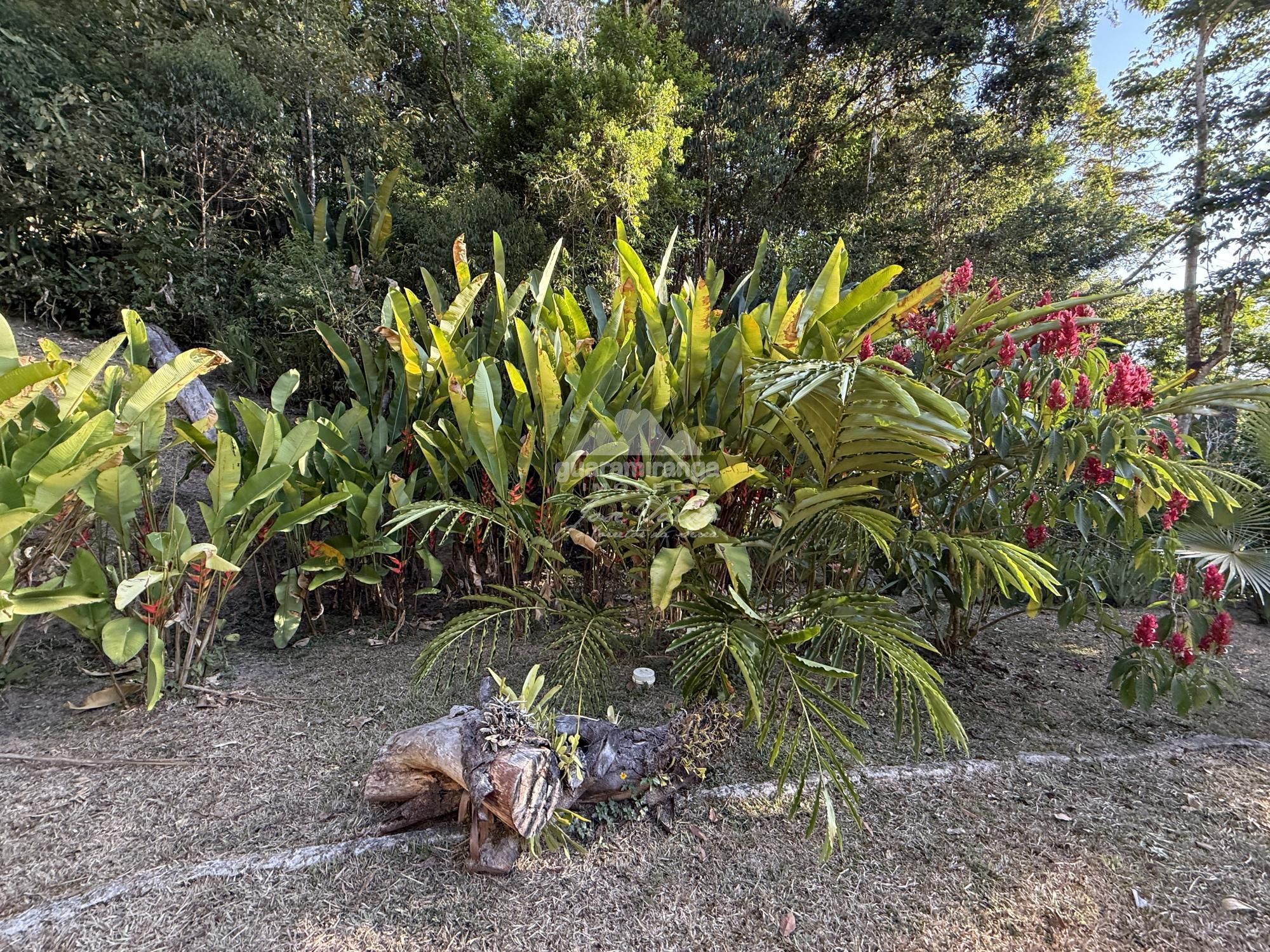 Chácara, 8 quartos, 2 hectares - Foto 29