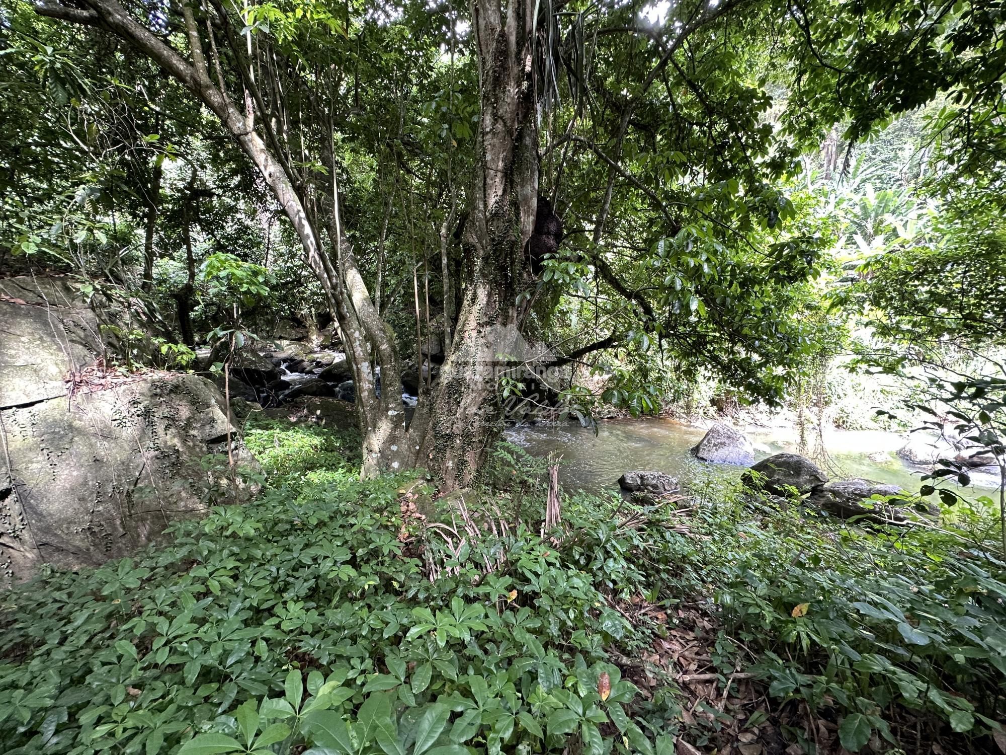 Sítio, 2 quartos, 20 hectares - Foto 26