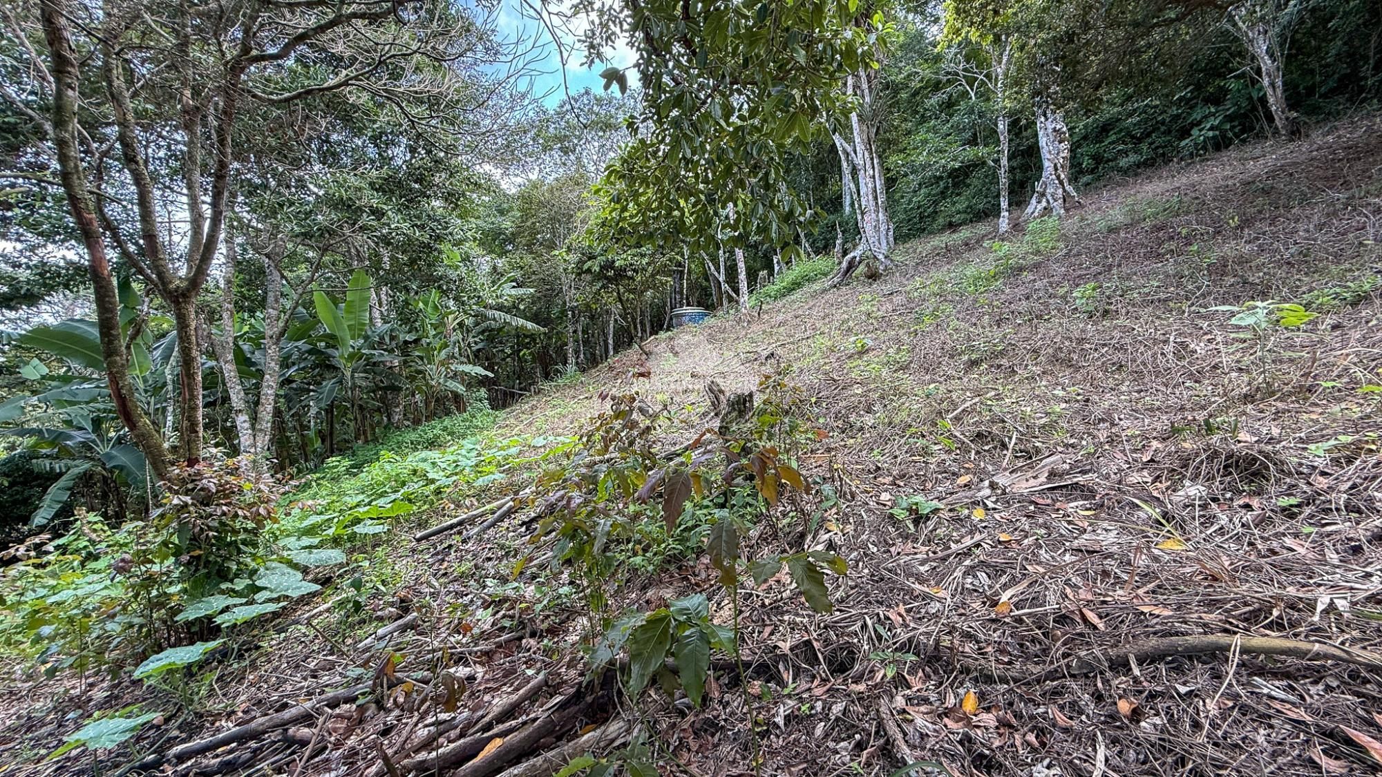 Chácara, 3 quartos, 17 m² - Foto 48