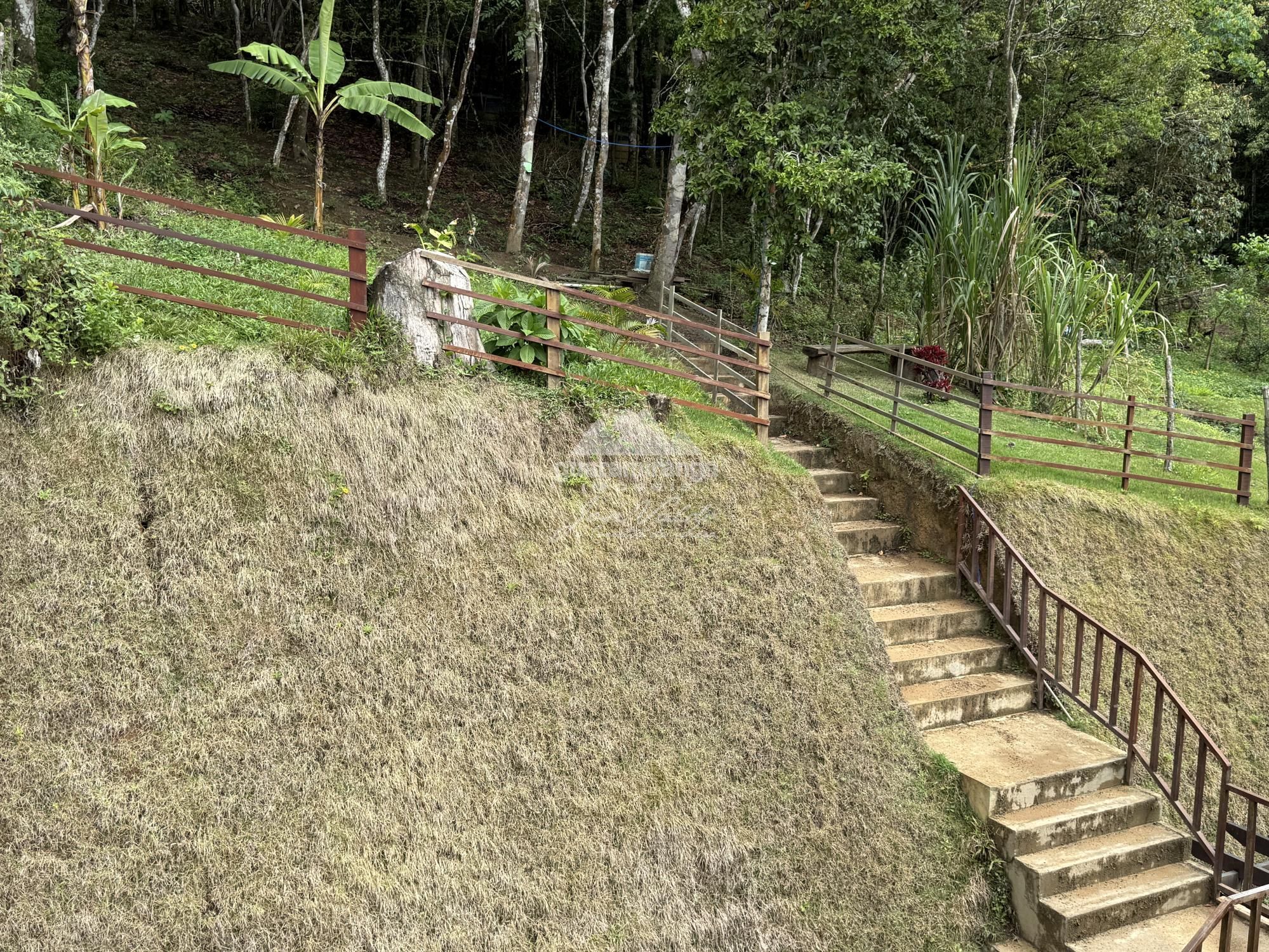 Casa, 4 quartos, 160 m² - Foto 57