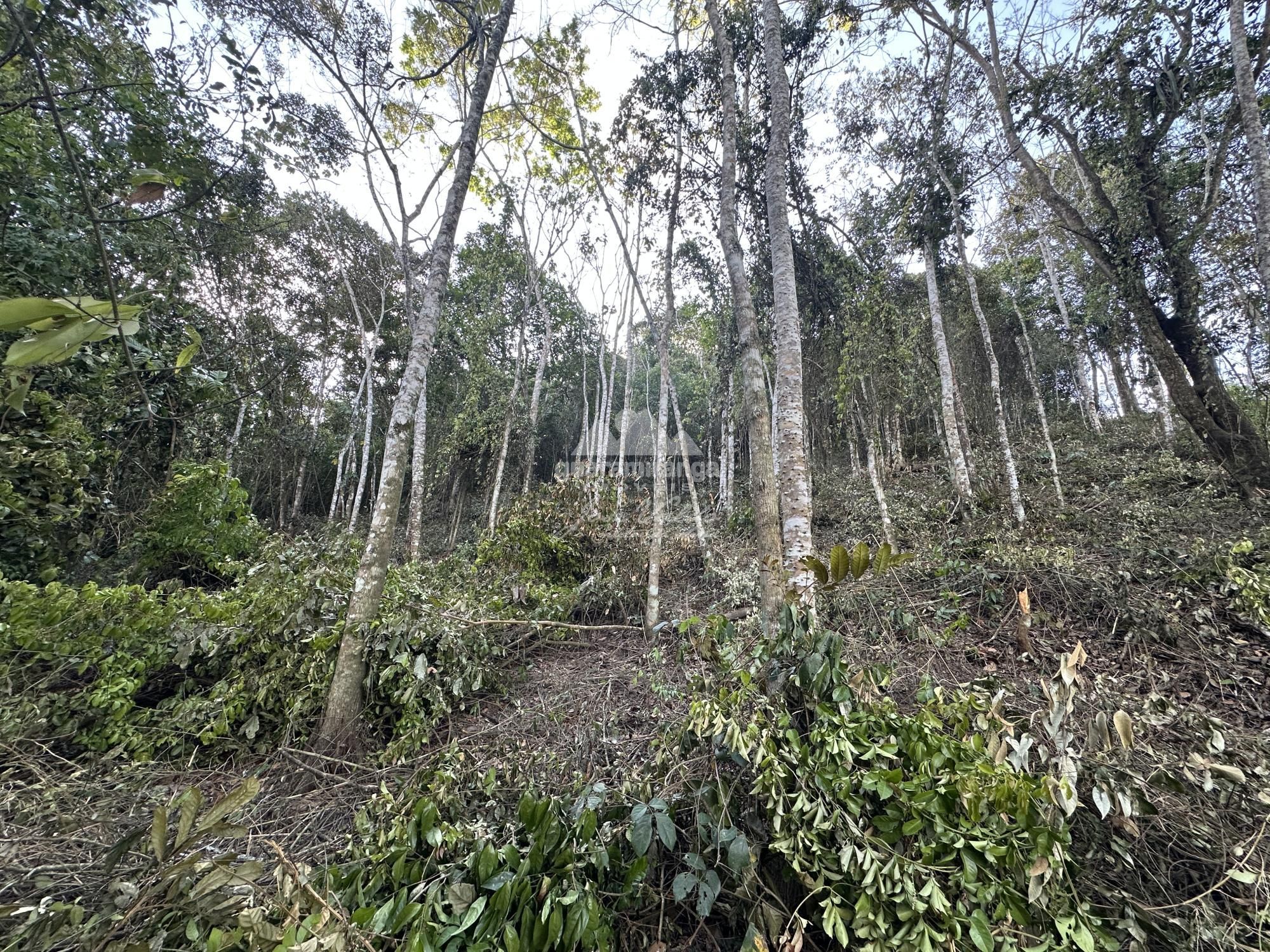 Terreno, 1074 m² - Foto 11