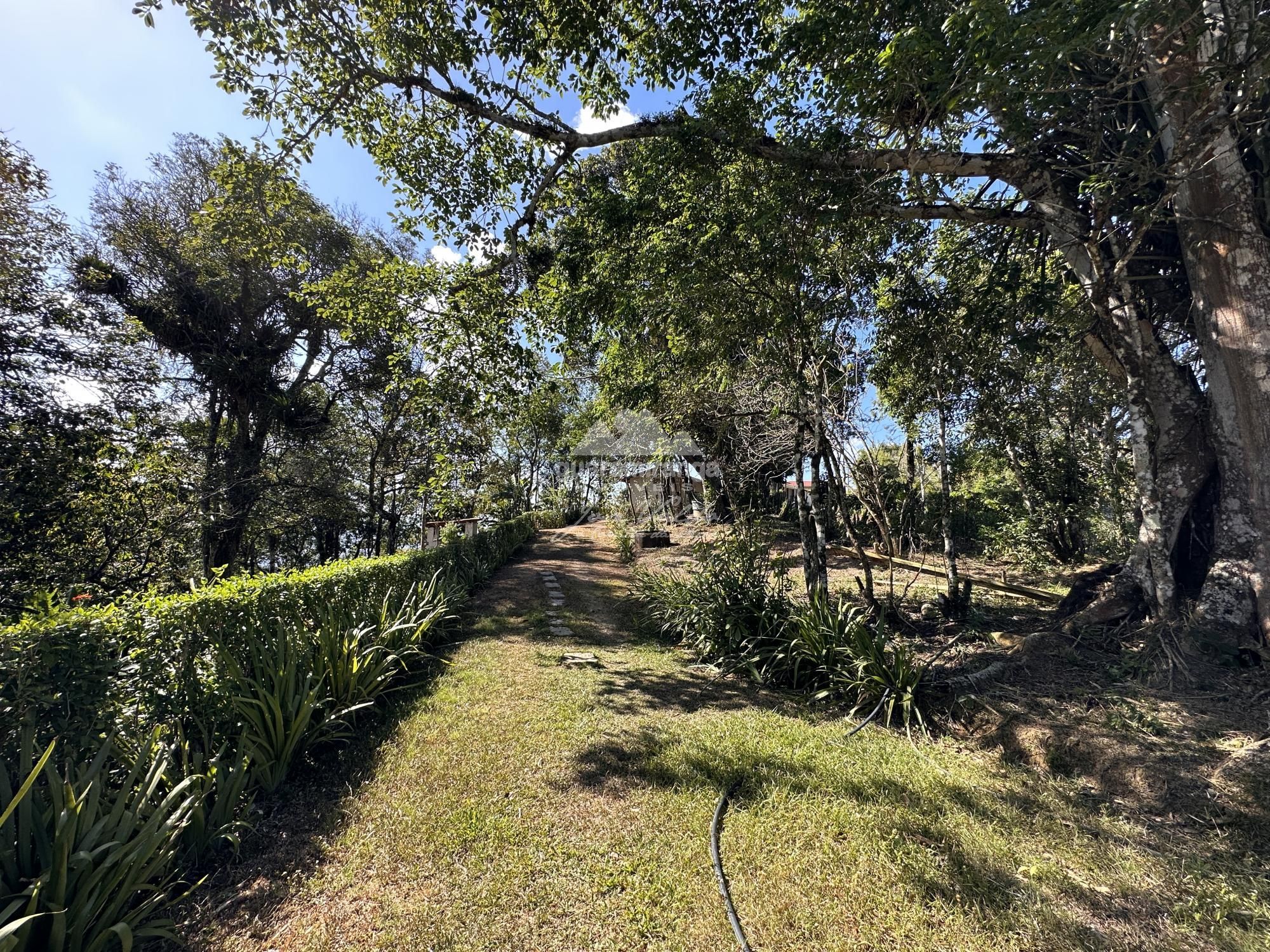 Sítio à venda com 15 quartos, 40000m² - Foto 62