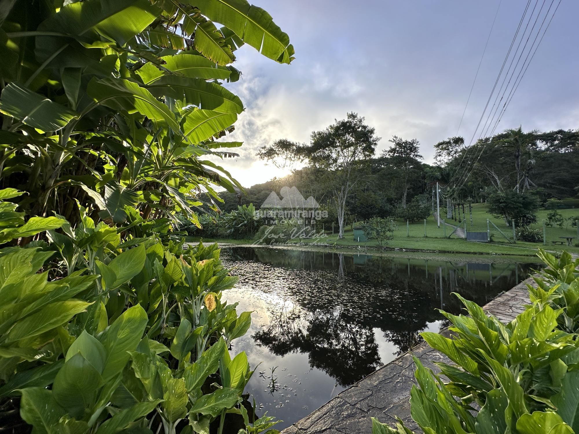Sítio à venda com 6 quartos, 30000m² - Foto 108