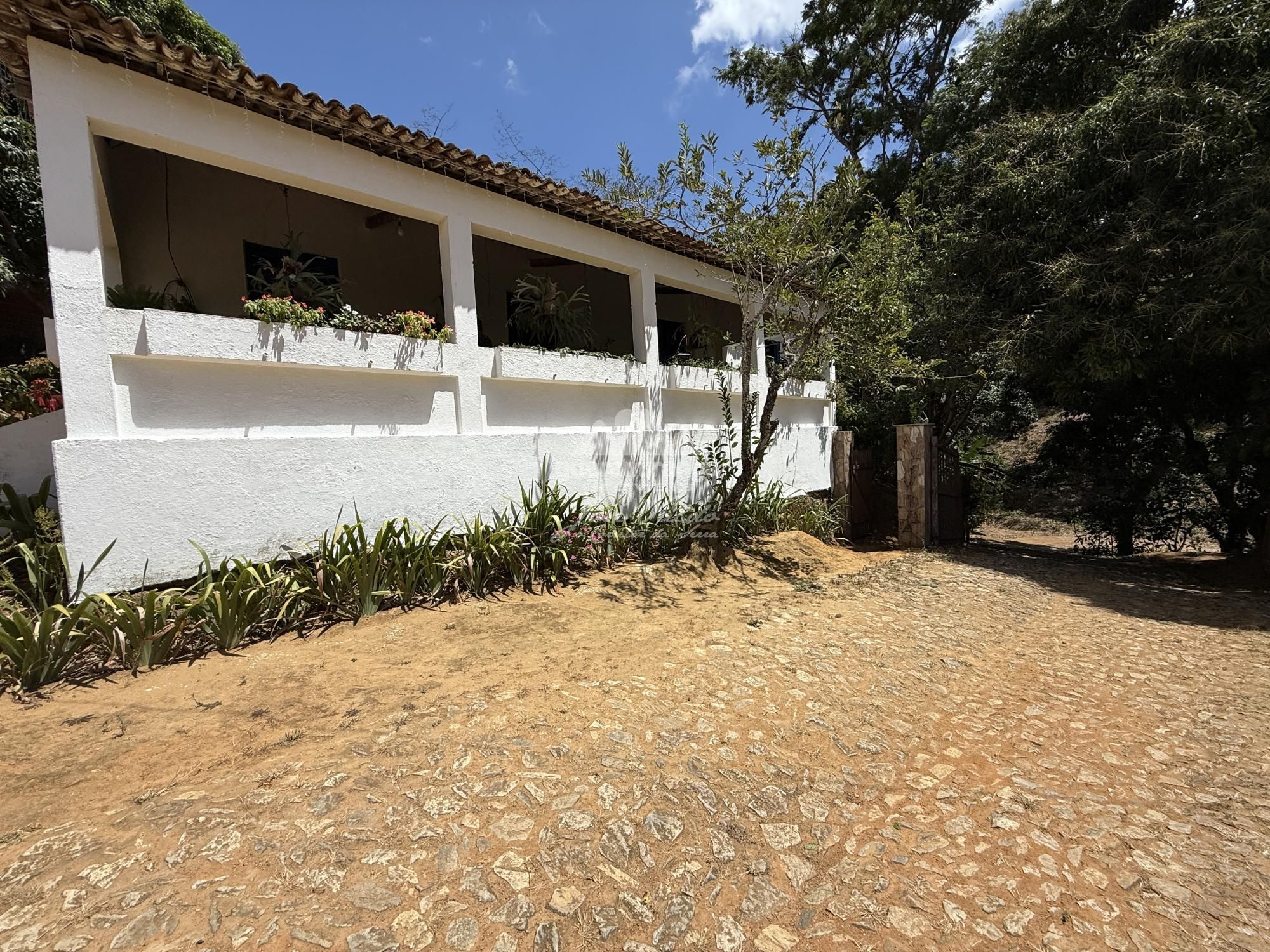 Sítio, 4 quartos, 180 m² - Foto 64