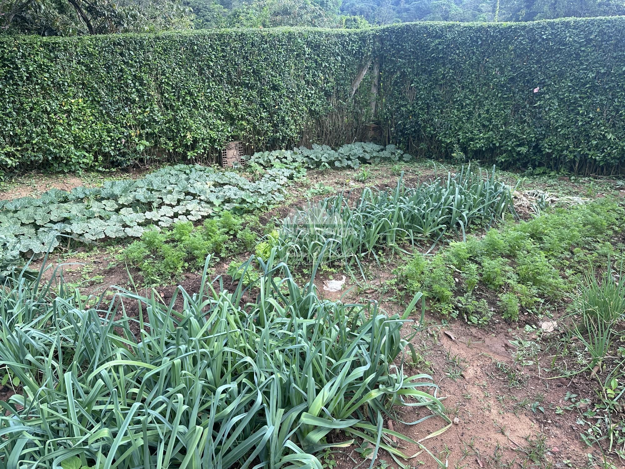 Chácara, 4 quartos, 2000 m² - Foto 15