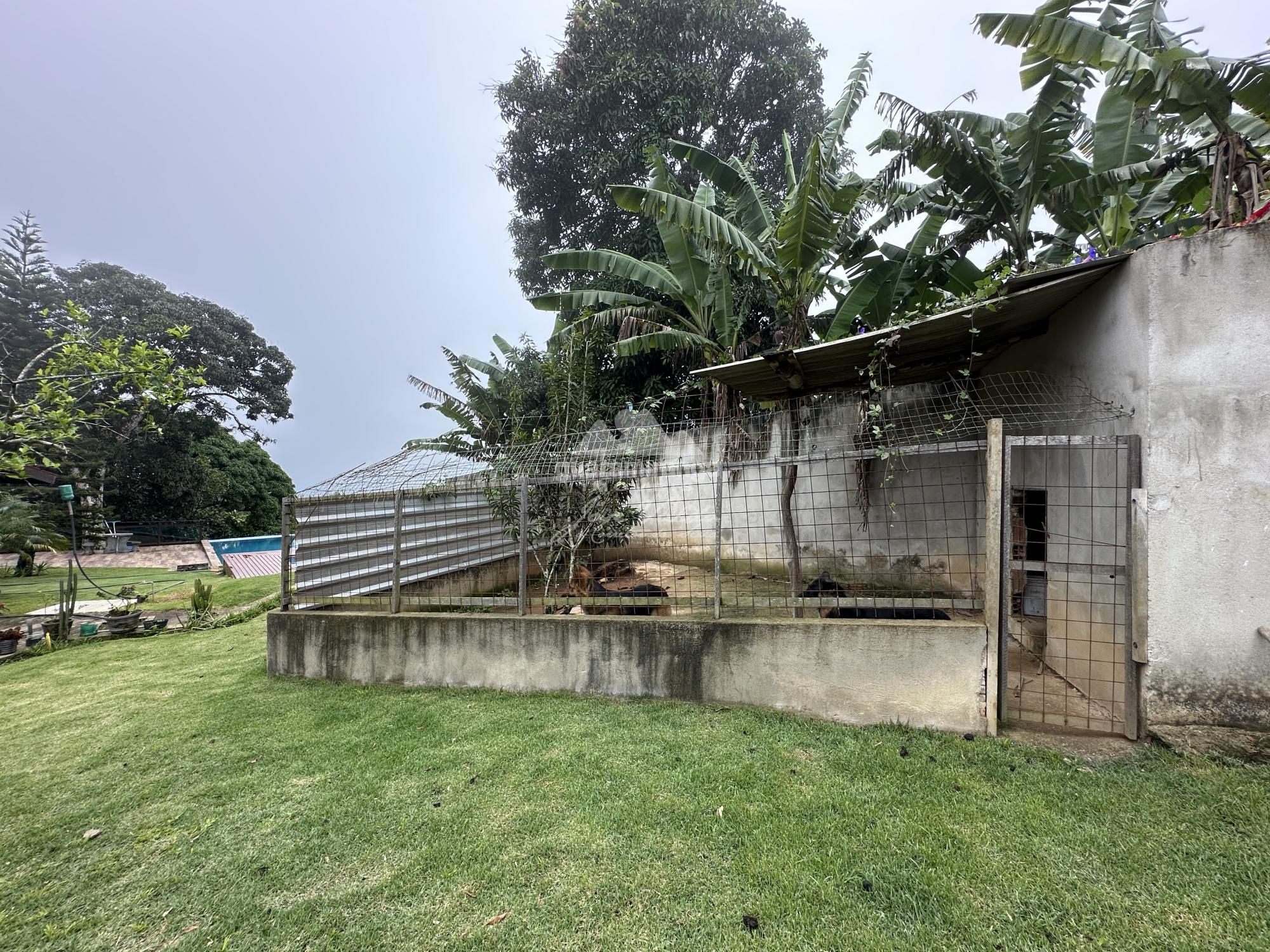 Sítio, 3 quartos, 900 m² - Foto 19