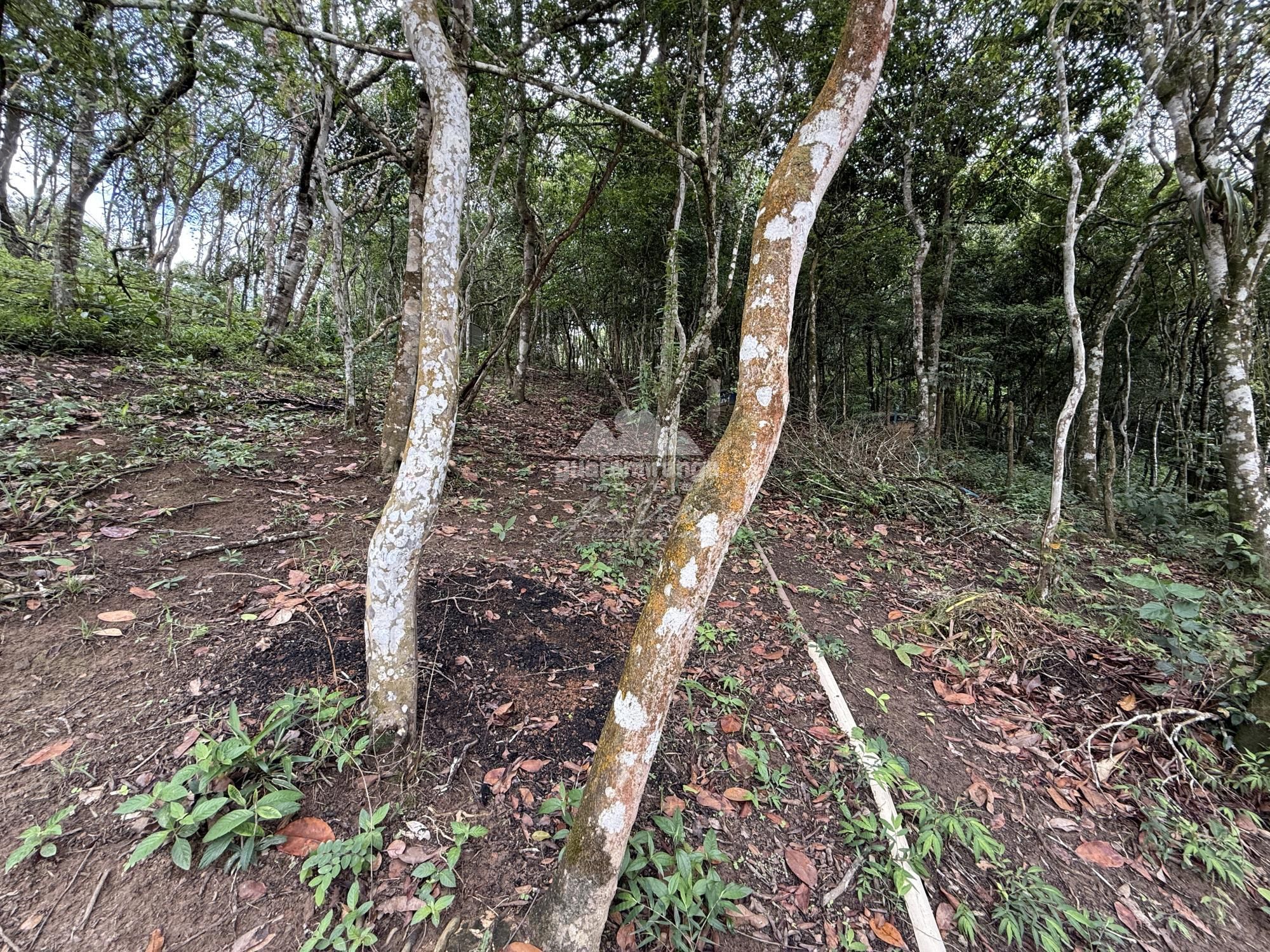 Casa, 4 quartos, 160 m² - Foto 17