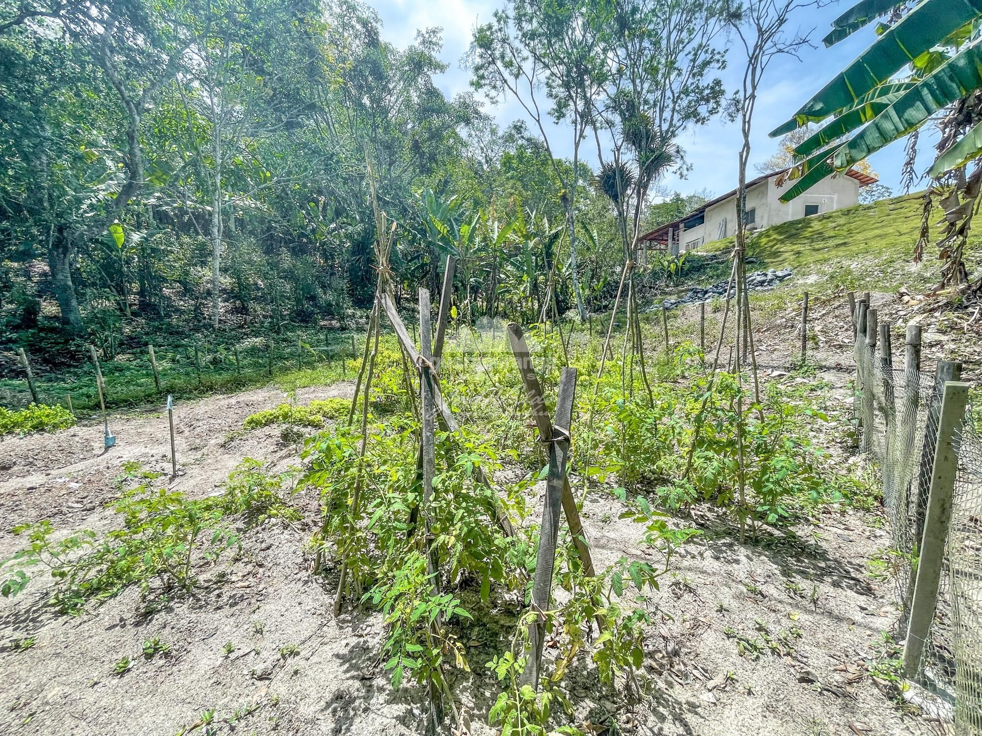Sítio à venda com 1 quarto, 35000m² - Foto 27