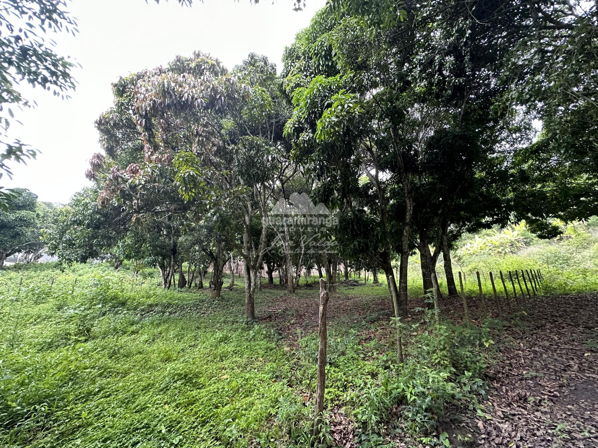 Terreno à venda, 2204m² - Foto 13