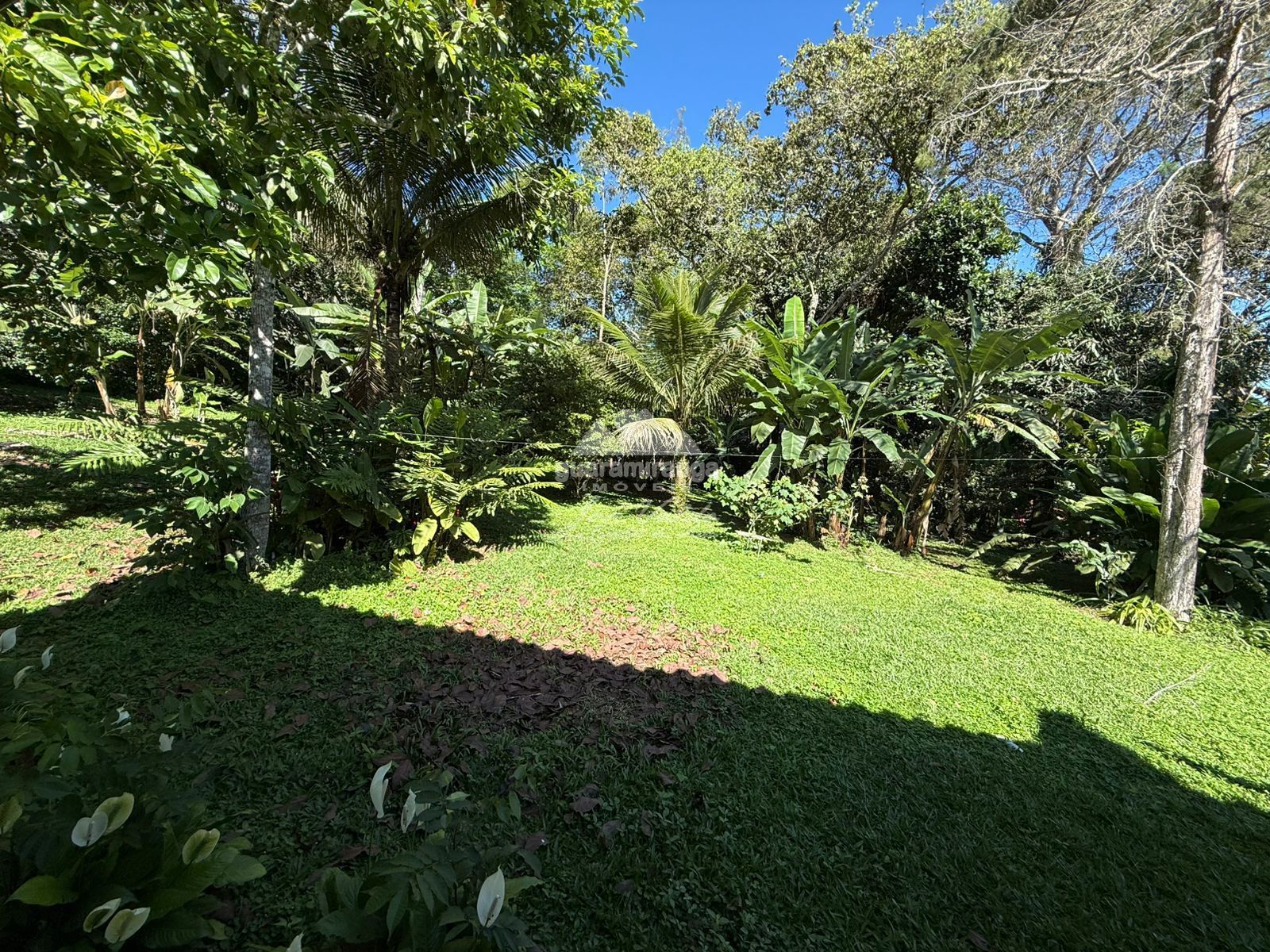 Chácara, 4 quartos, 6332 m² - Foto 38