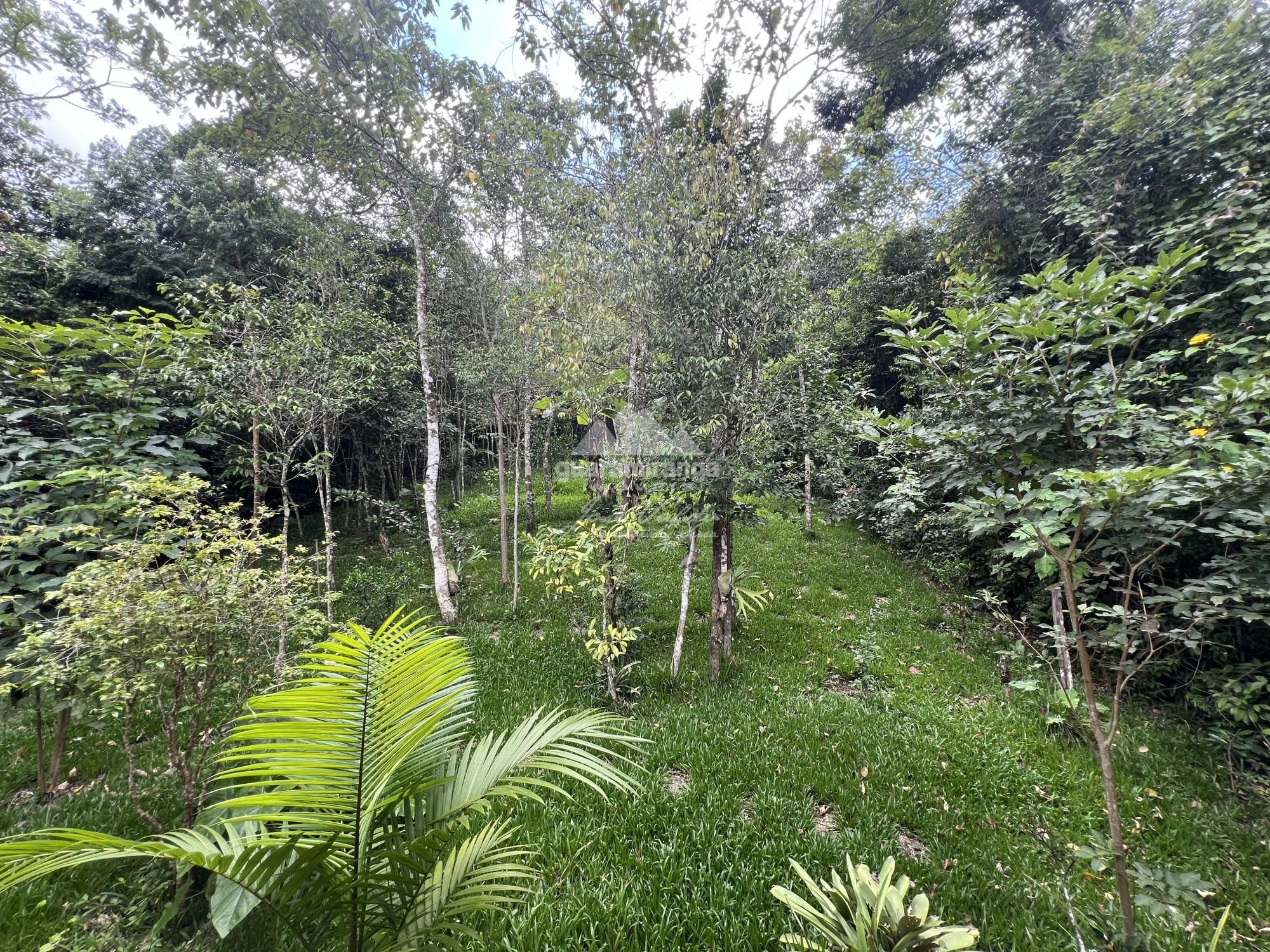 Chácara à venda com 4 quartos, 1740m² - Foto 32