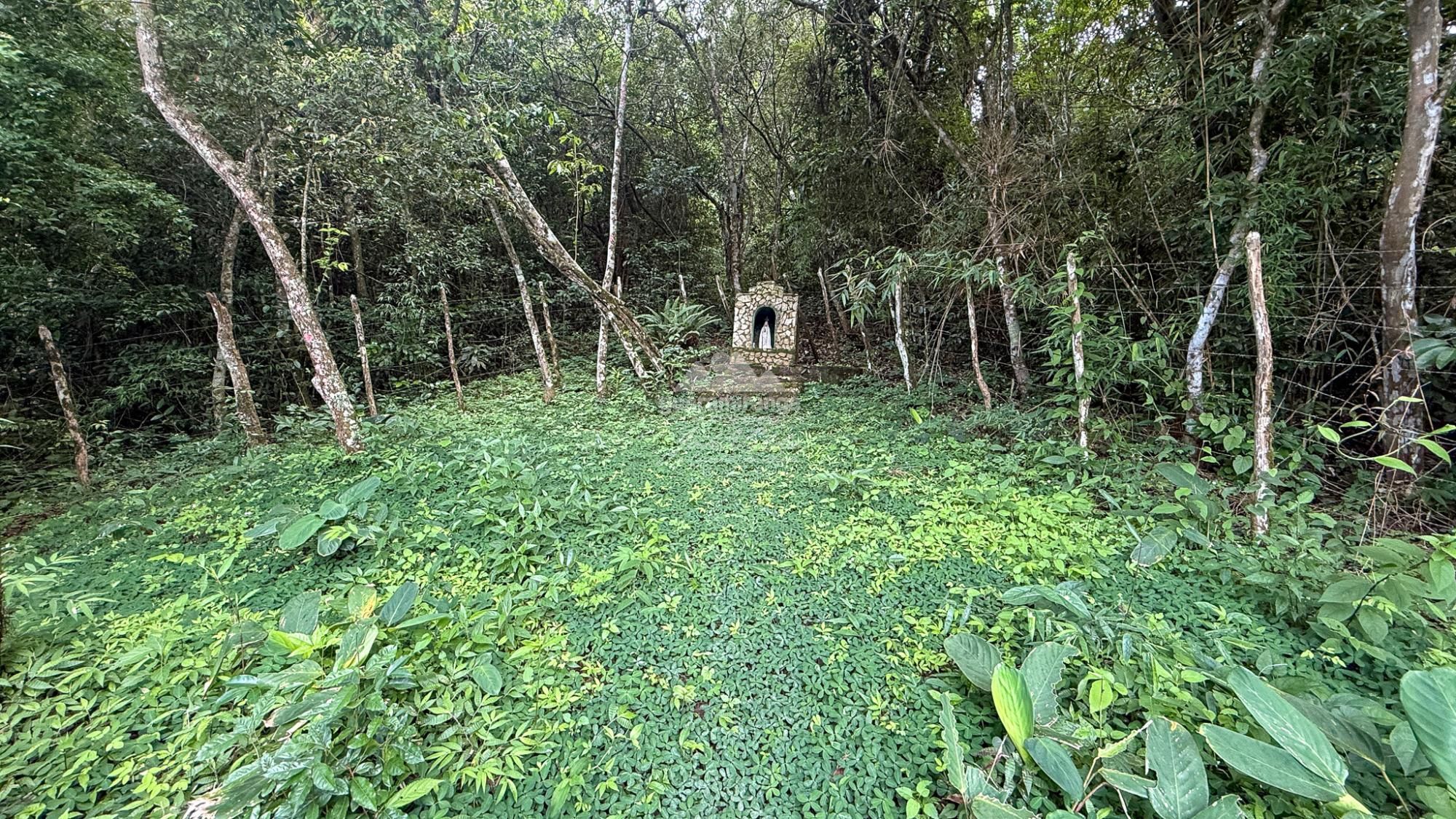 Chácara, 3 quartos, 17 m² - Foto 51