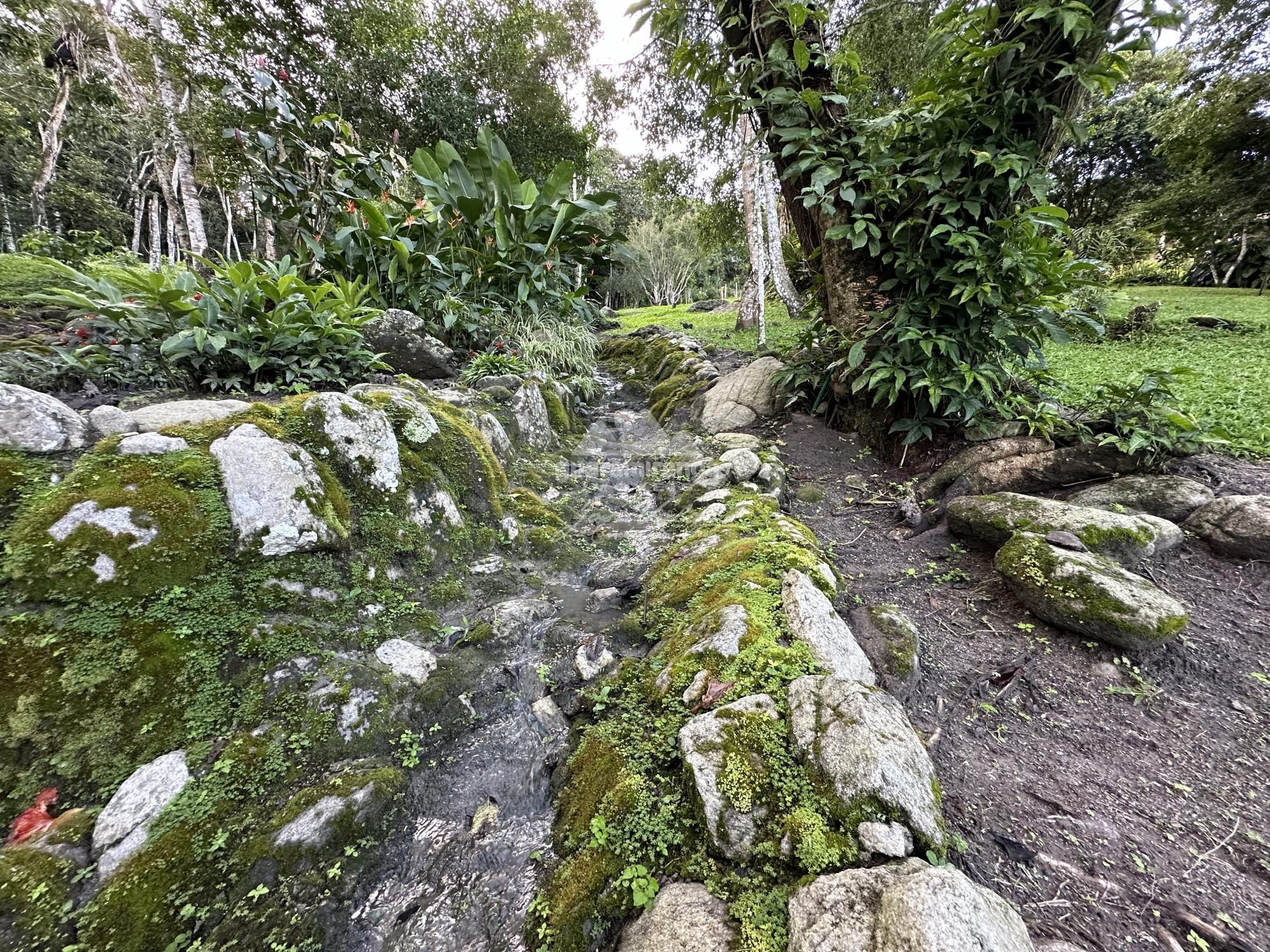 Sítio à venda com 6 quartos, 30000m² - Foto 89